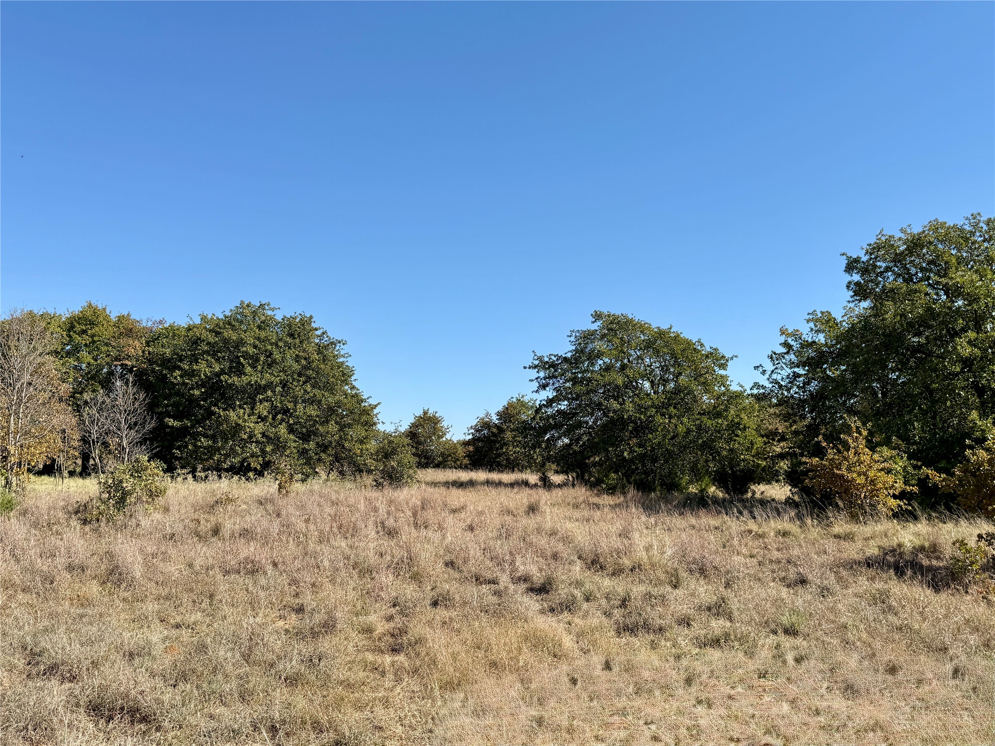 2753 Big Tree Road Montague TX 76251