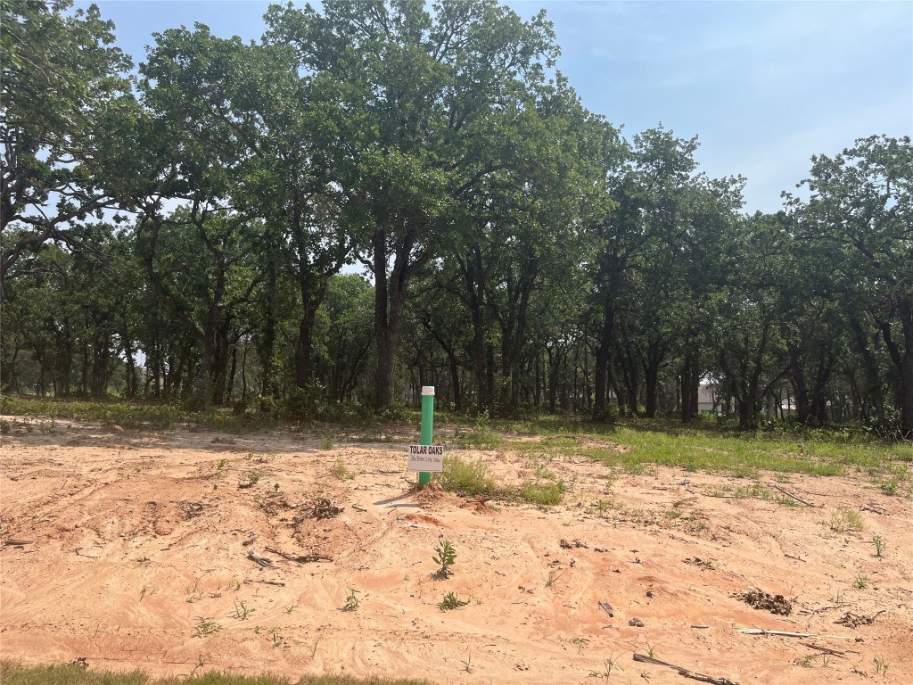 316 Peace Lily Way Tolar TX 76476