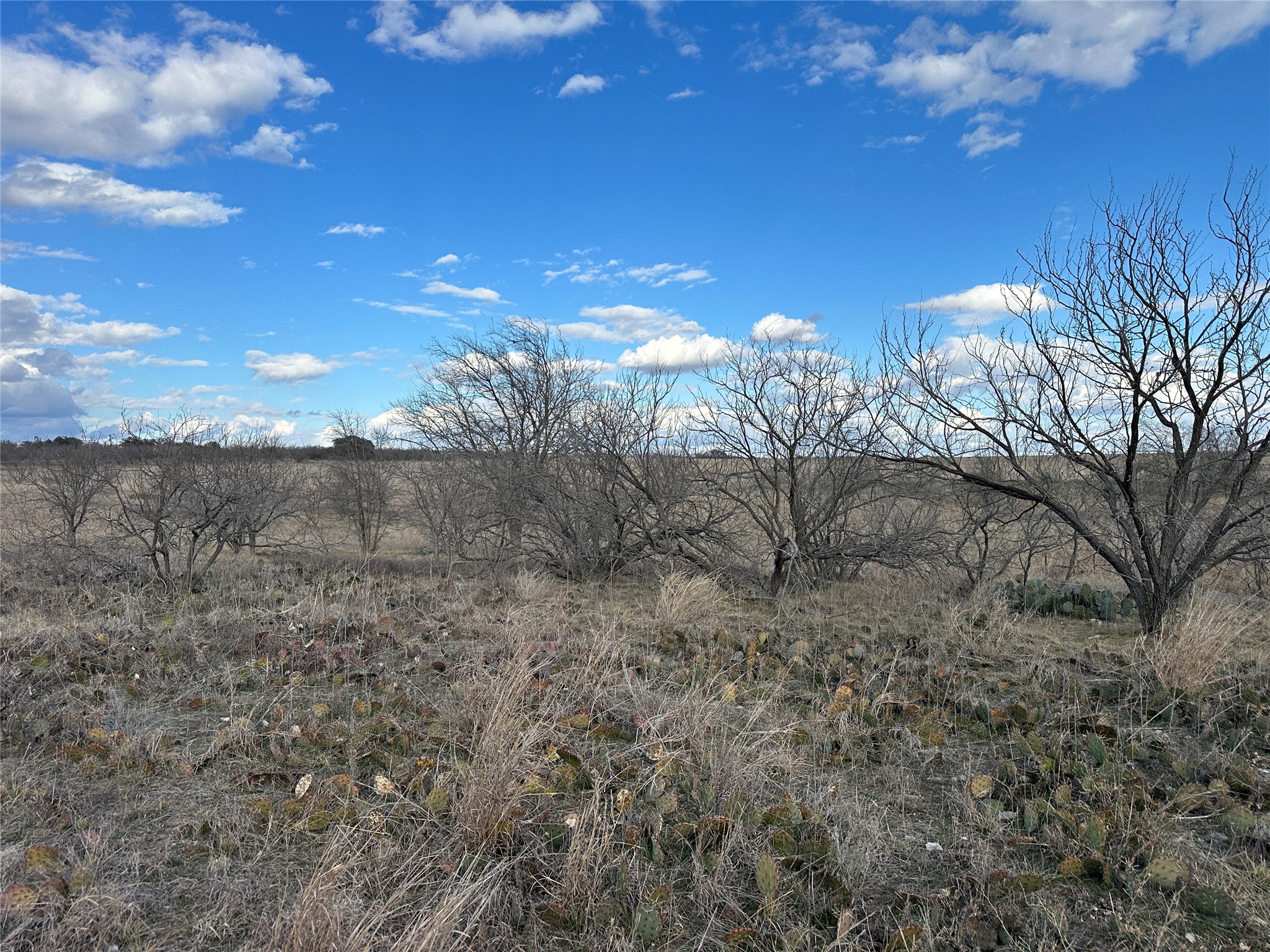116 Comanche Lake Road Comanche TX 76442