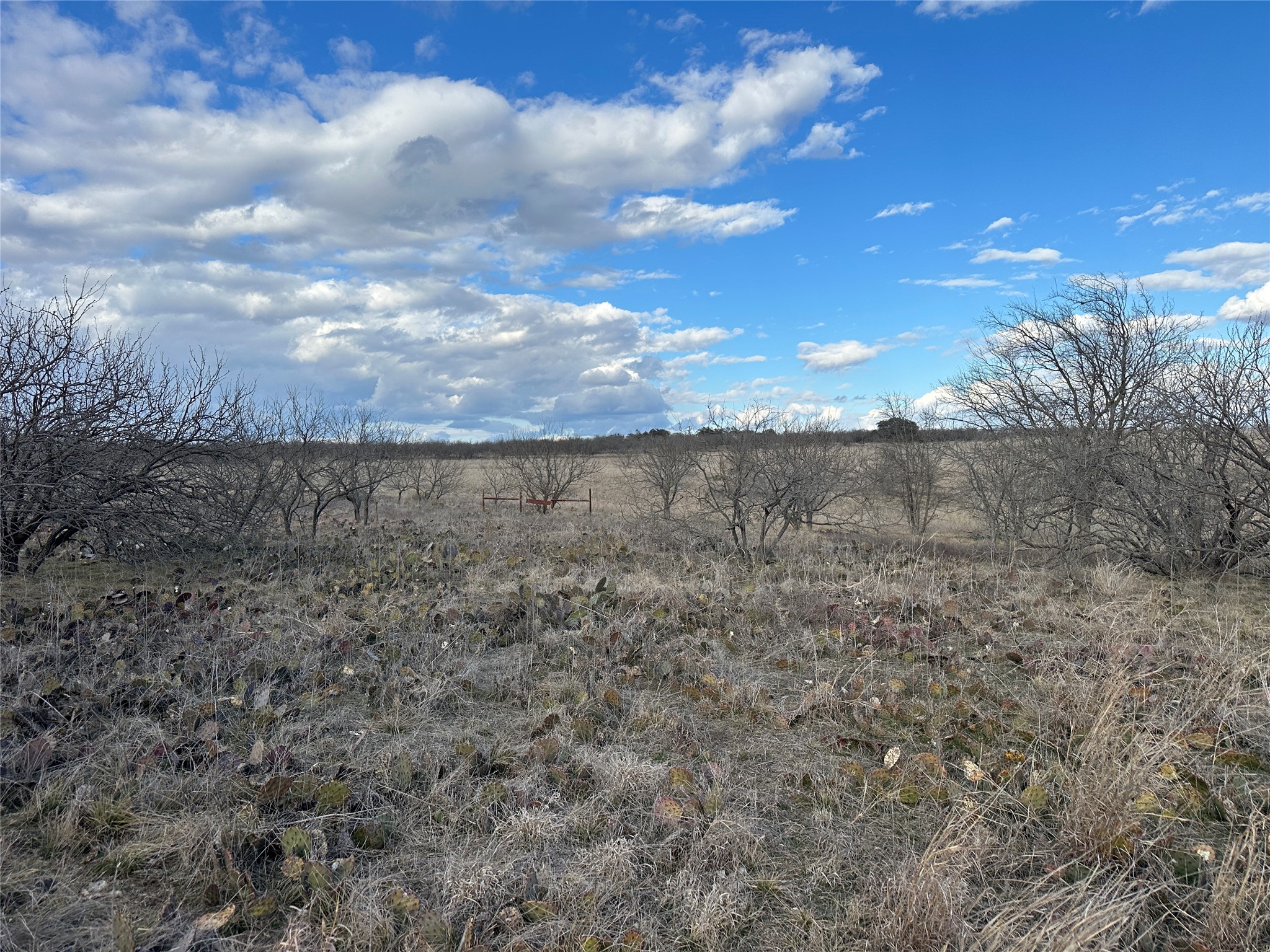 116 Comanche Lake Road Comanche TX 76442