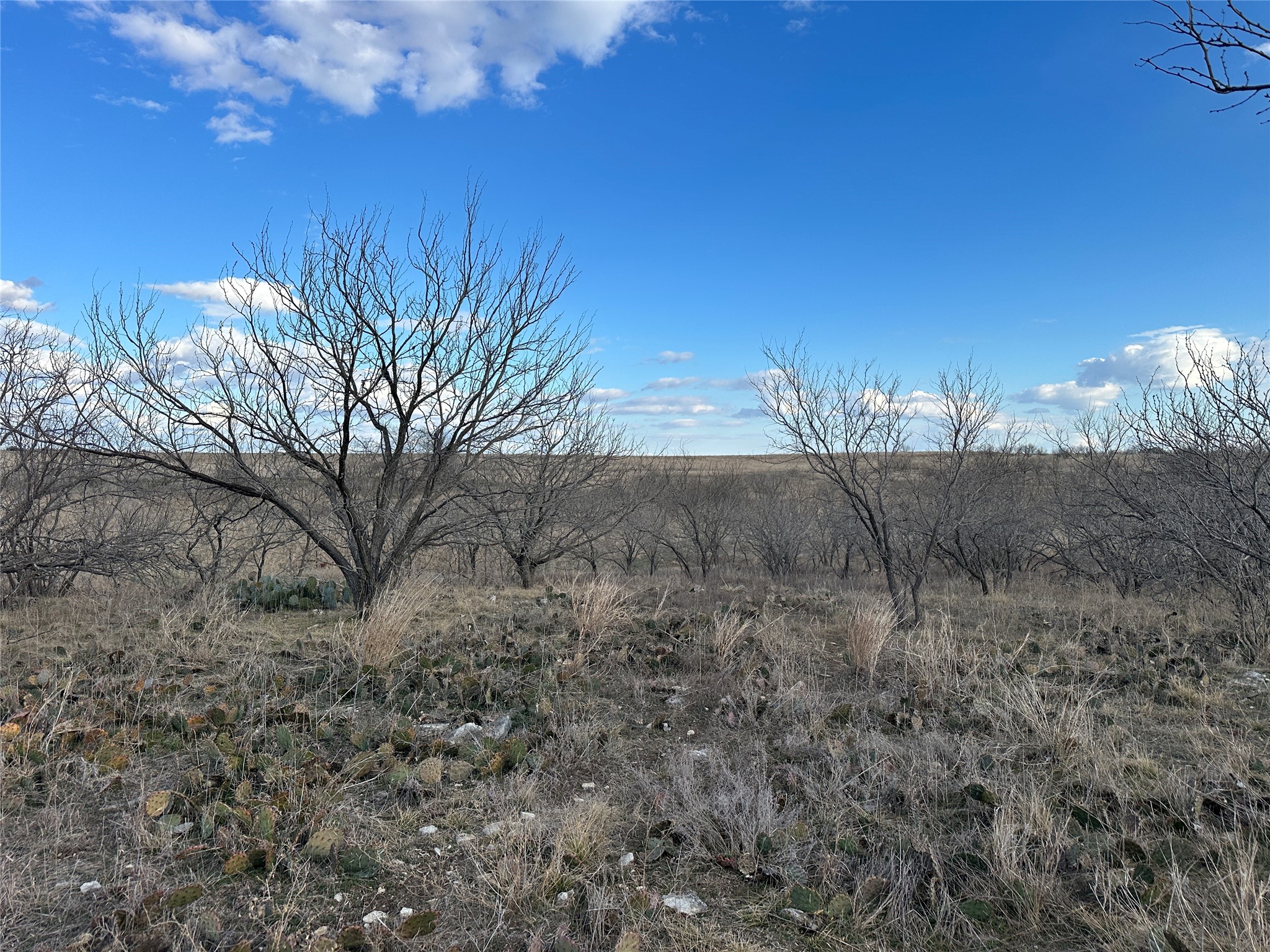 116 Comanche Lake Road Comanche TX 76442