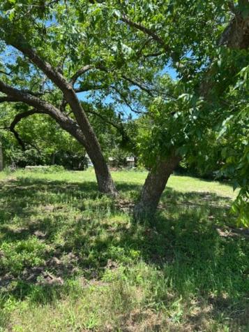 116 W Walnut Street Whitewright TX 75491