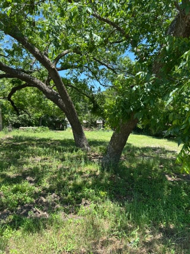 116 W Walnut Street Whitewright TX 75491