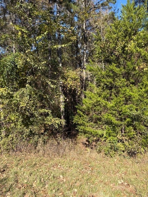 17851 Fm 3079 Chandler TX 75758