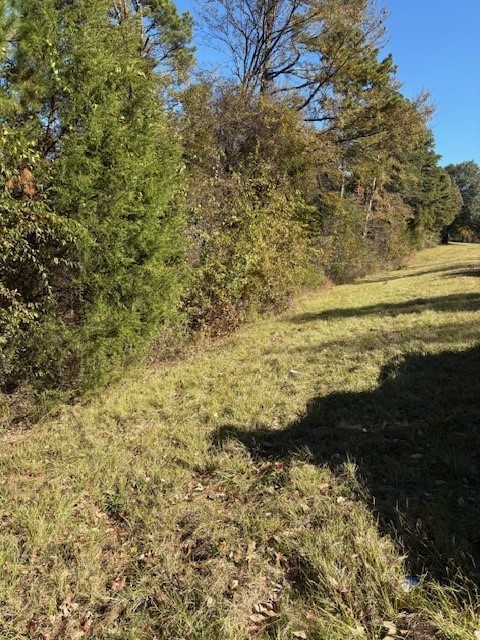 17851 Fm 3079 Chandler TX 75758