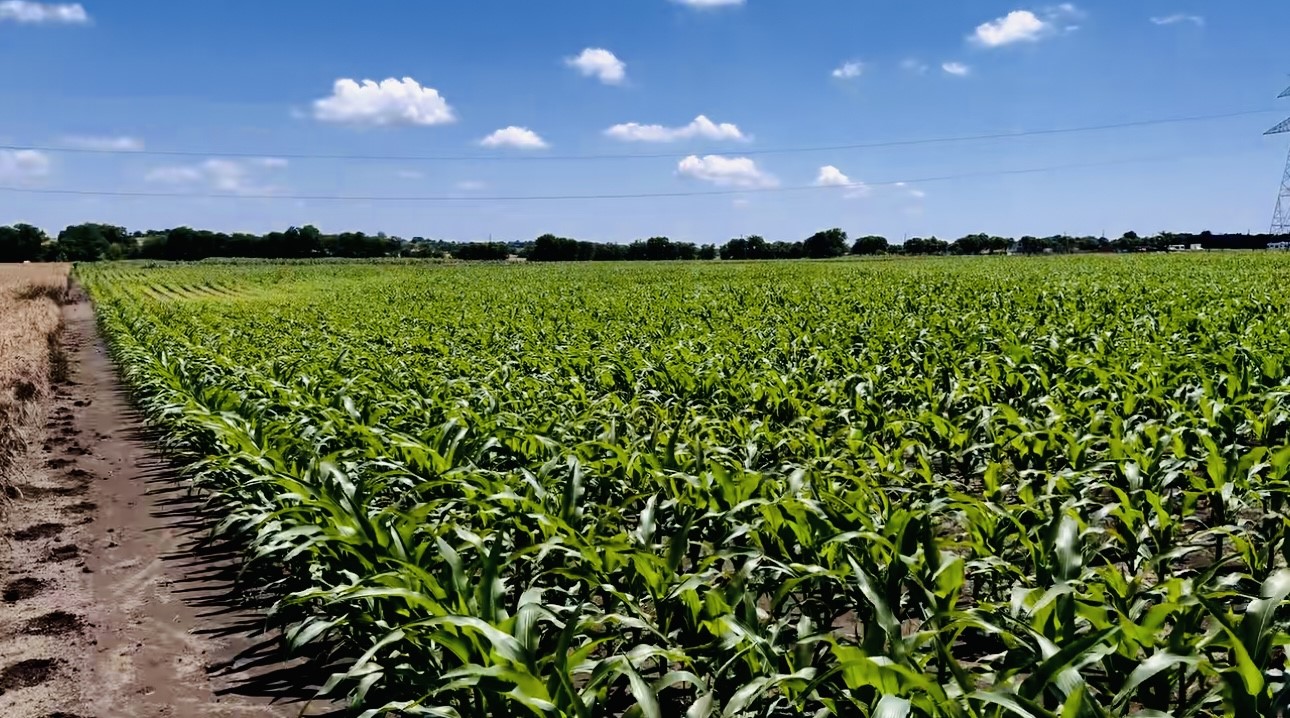 9775 County Road 505 Alvarado TX 76009