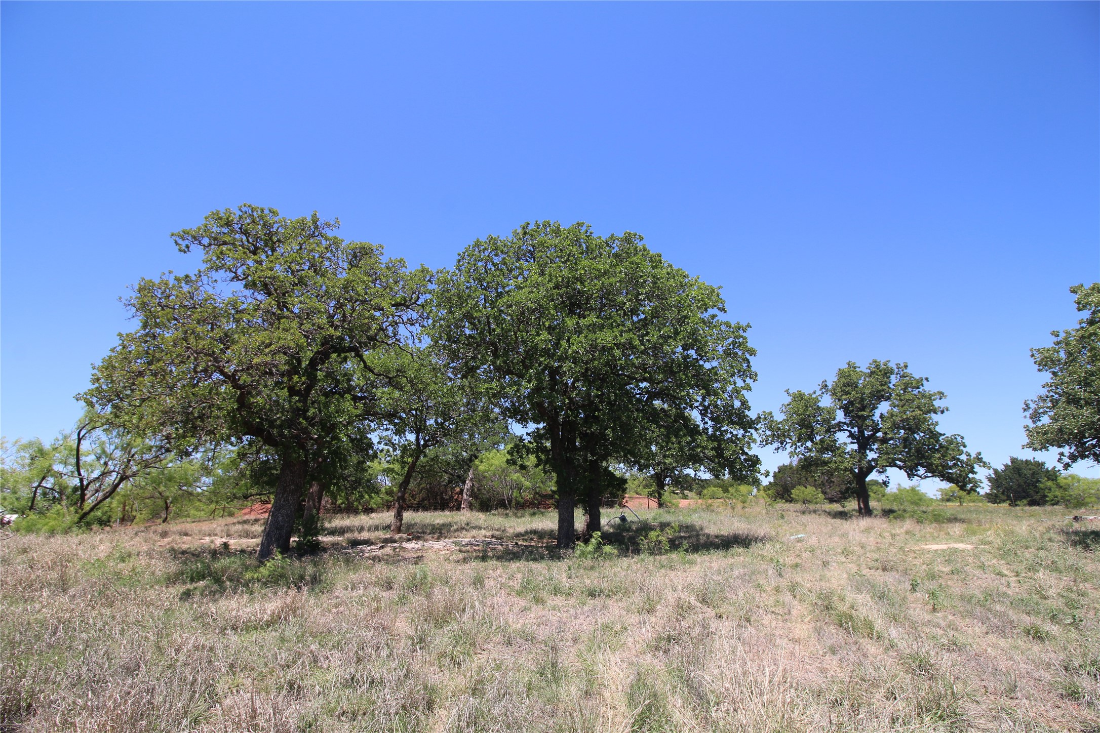Lot 6 Marshal Trail Tuscola TX 79562