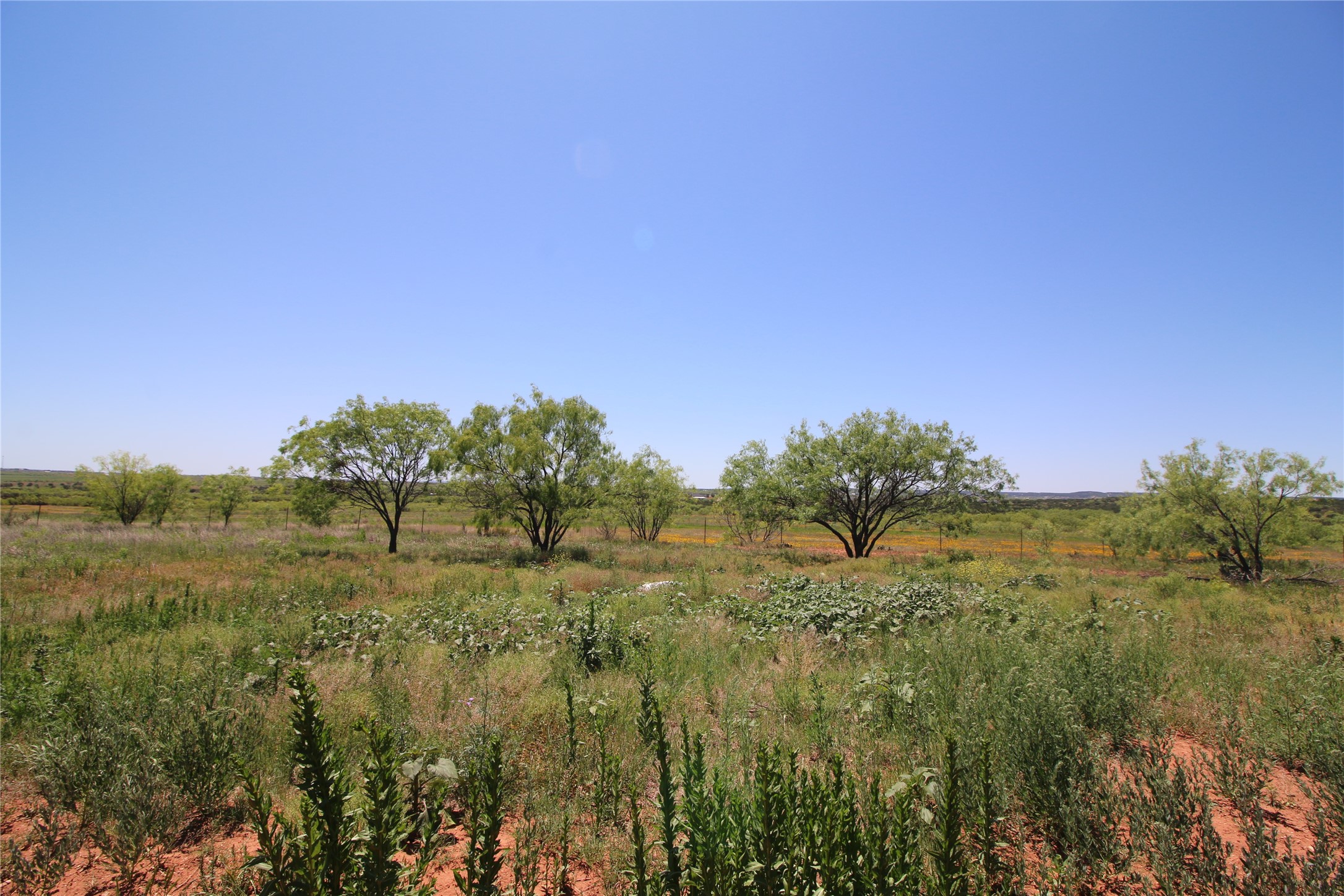 Lot 6 Marshal Trail Tuscola TX 79562