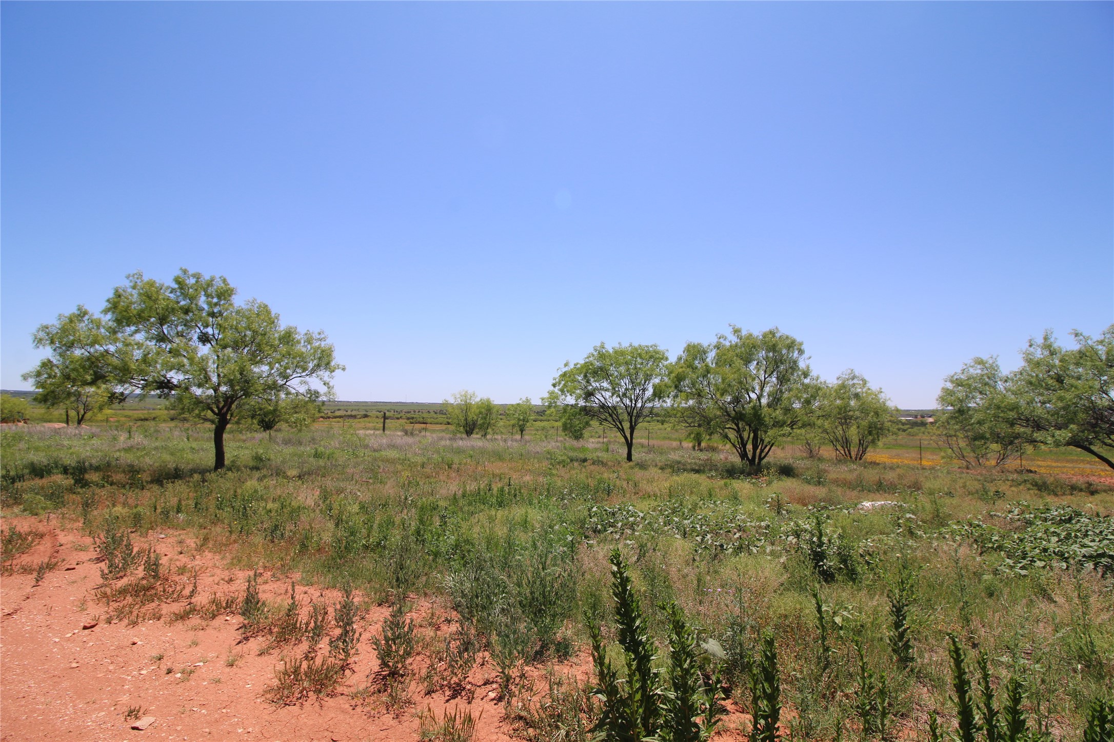 Lot 6 Marshal Trail Tuscola TX 79562