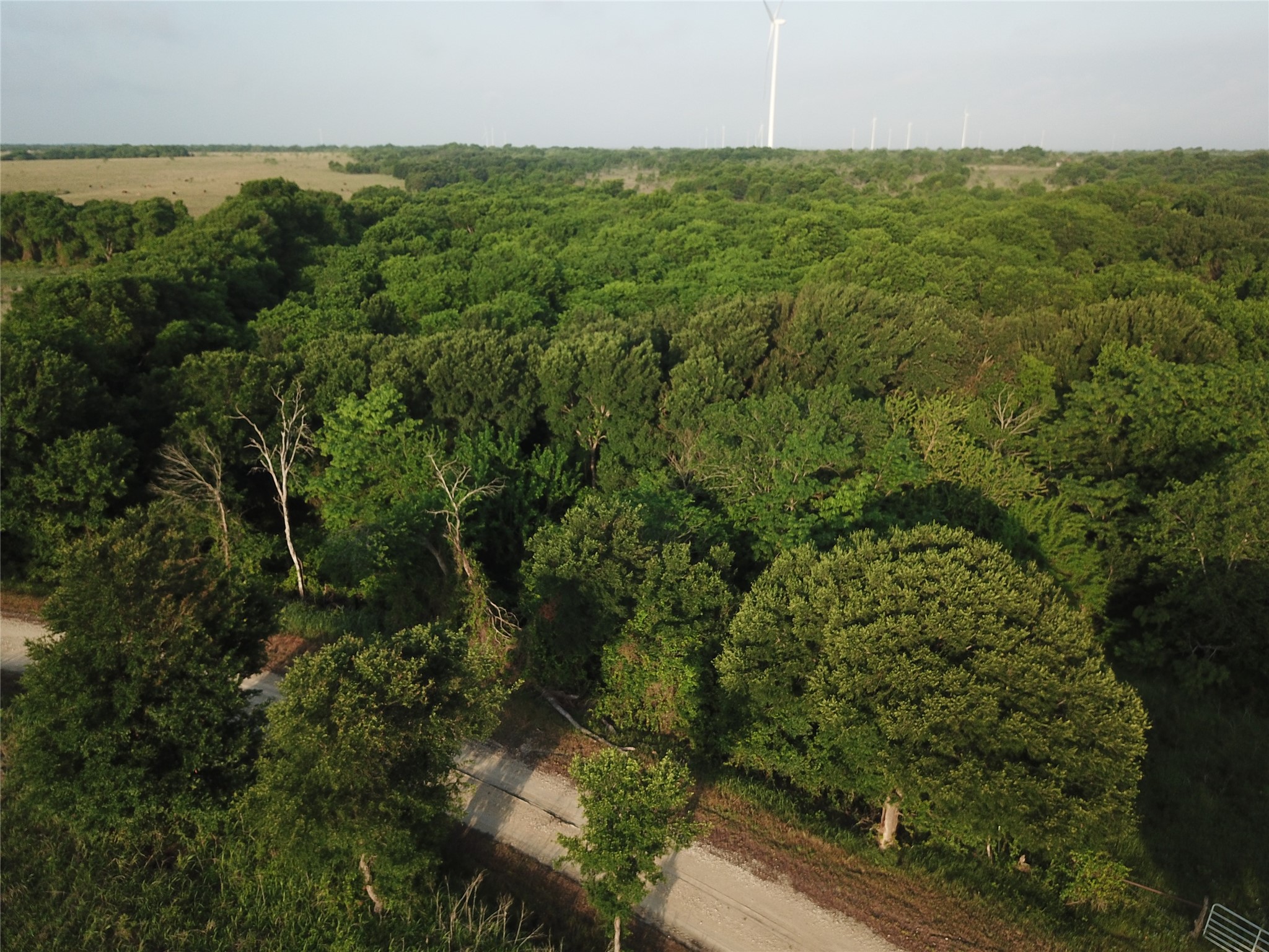 15.35 Acres Lcr 219 Coolidge TX 76635