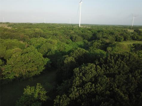 15.35 Acres Lcr 219 Coolidge TX 76635