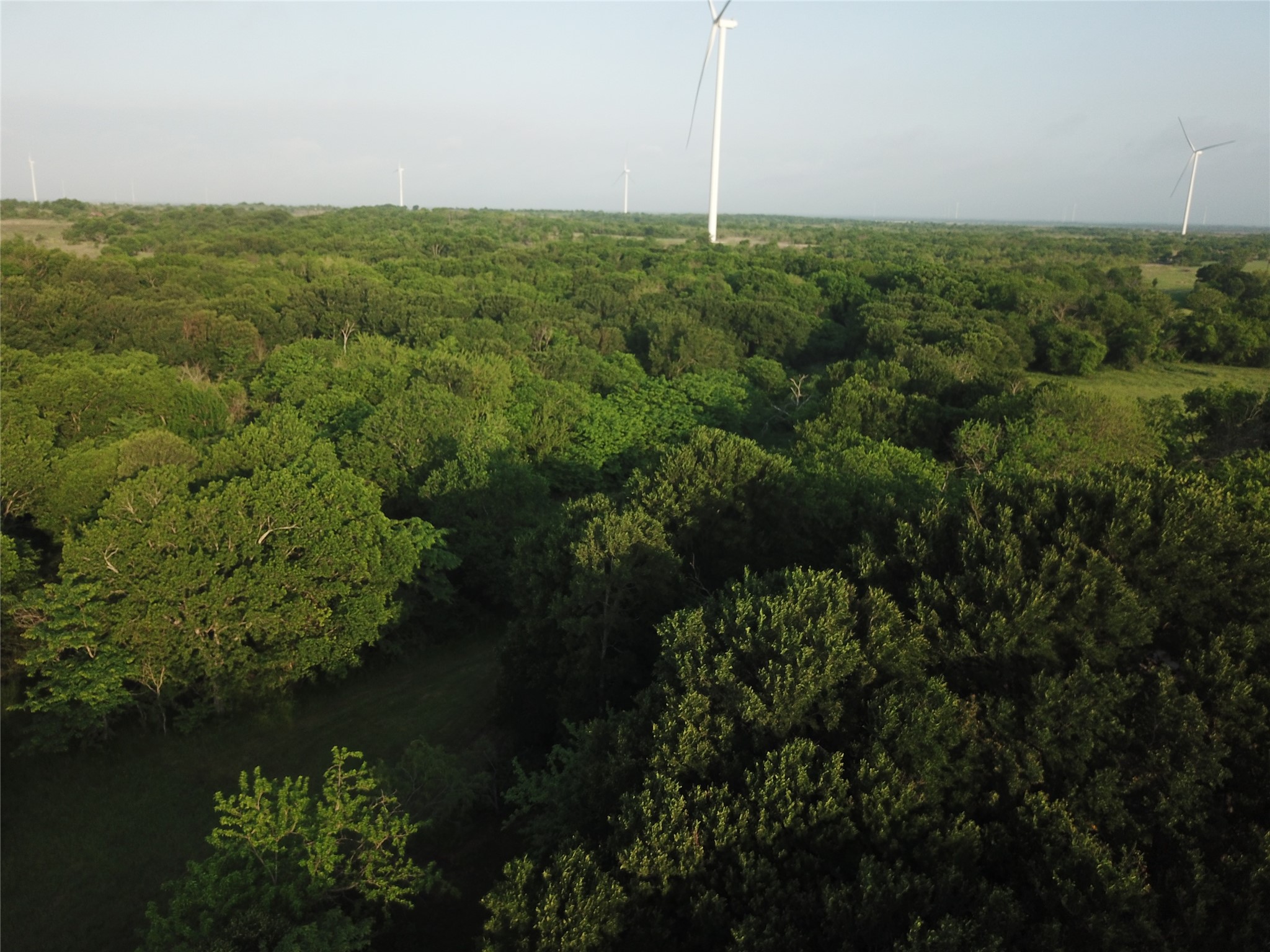 15.35 Acres Lcr 219 Coolidge TX 76635