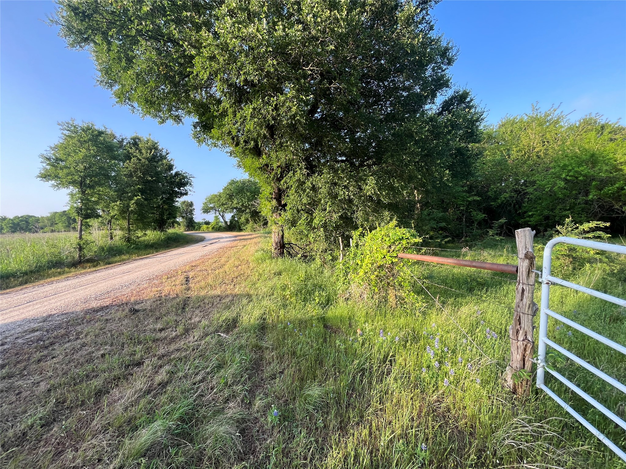 15.35 Acres Lcr 219 Coolidge TX 76635