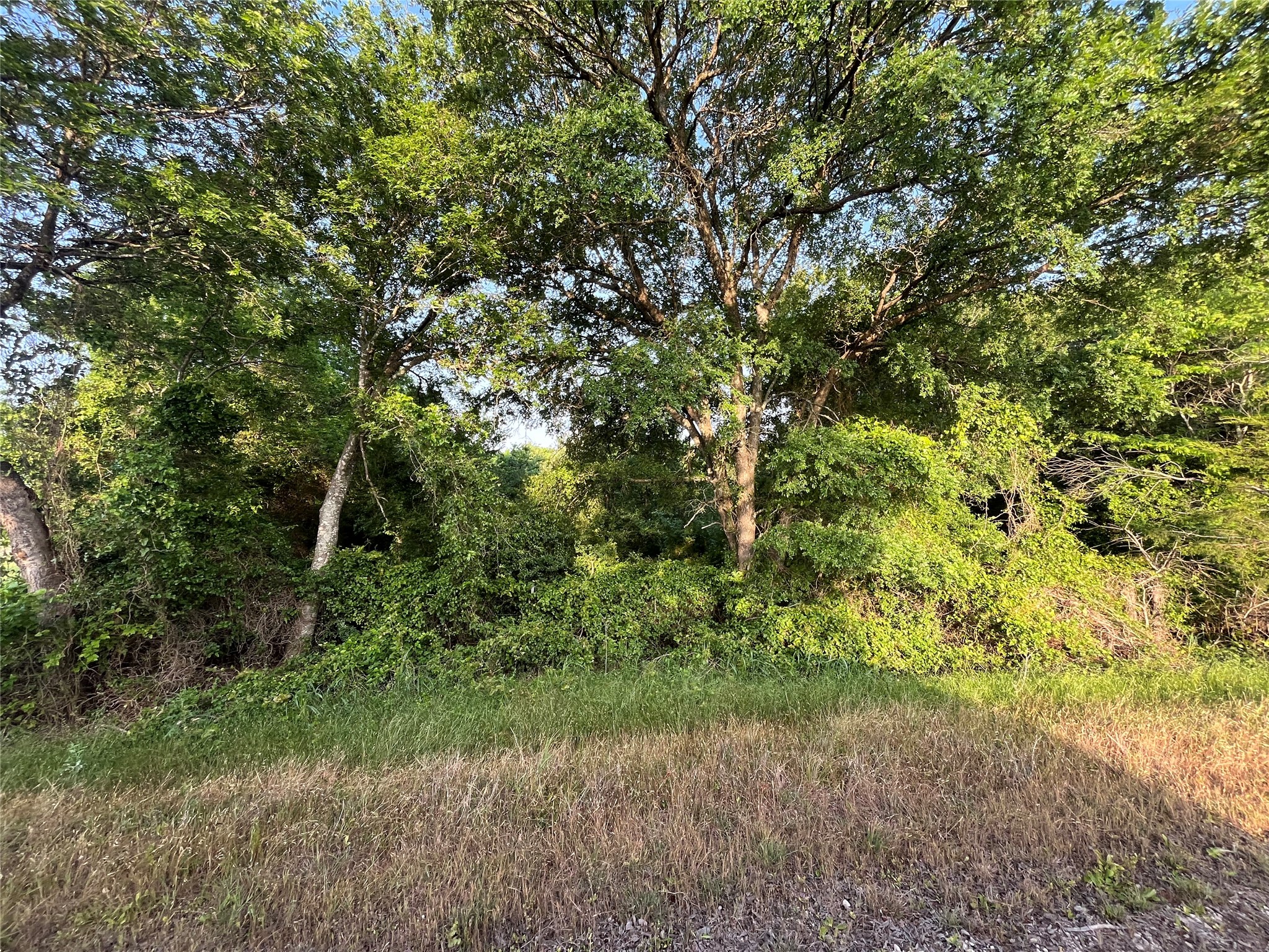 15.35 Acres Lcr 219 Coolidge TX 76635