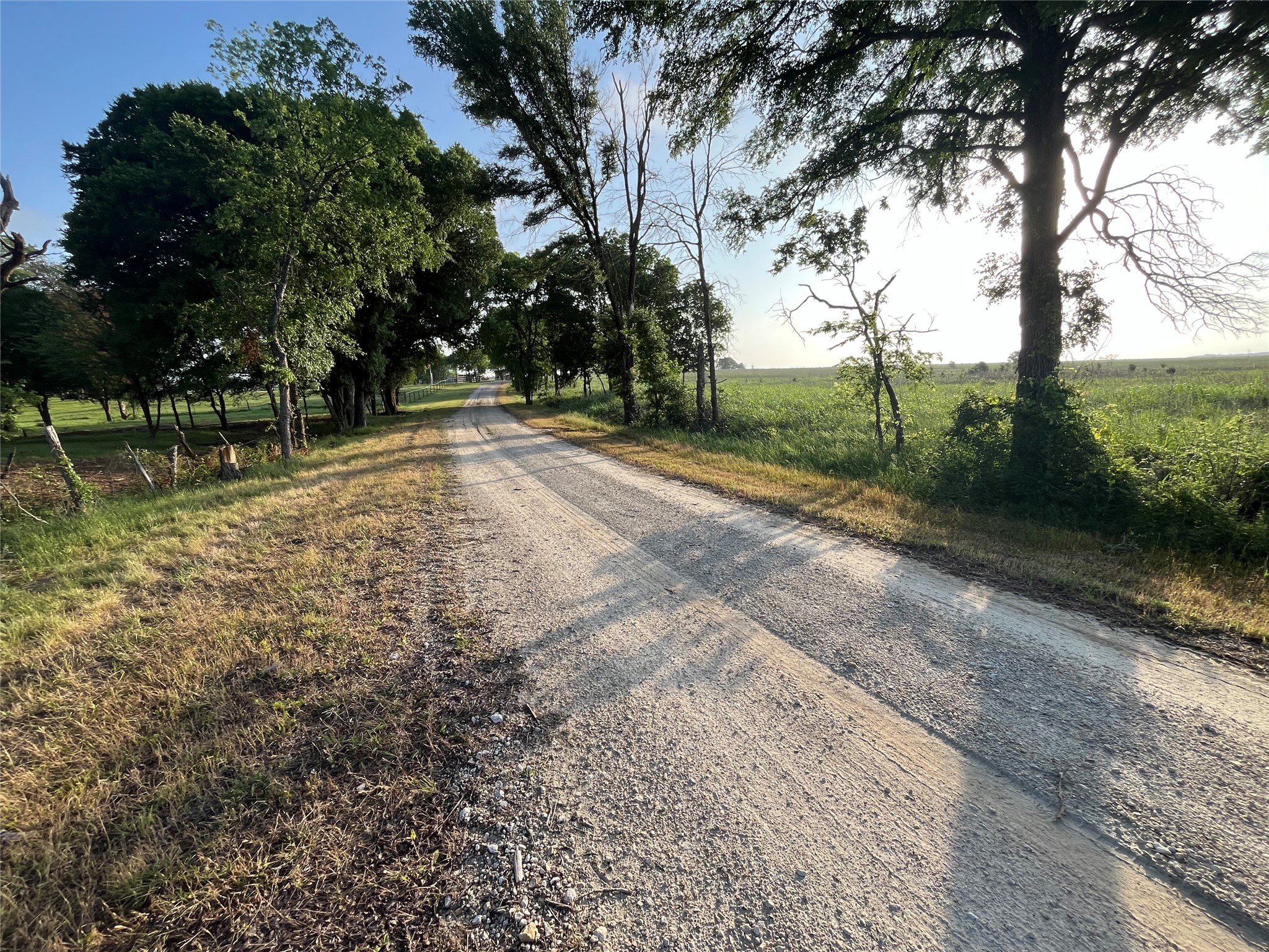 15.35 Acres Lcr 219 Coolidge TX 76635