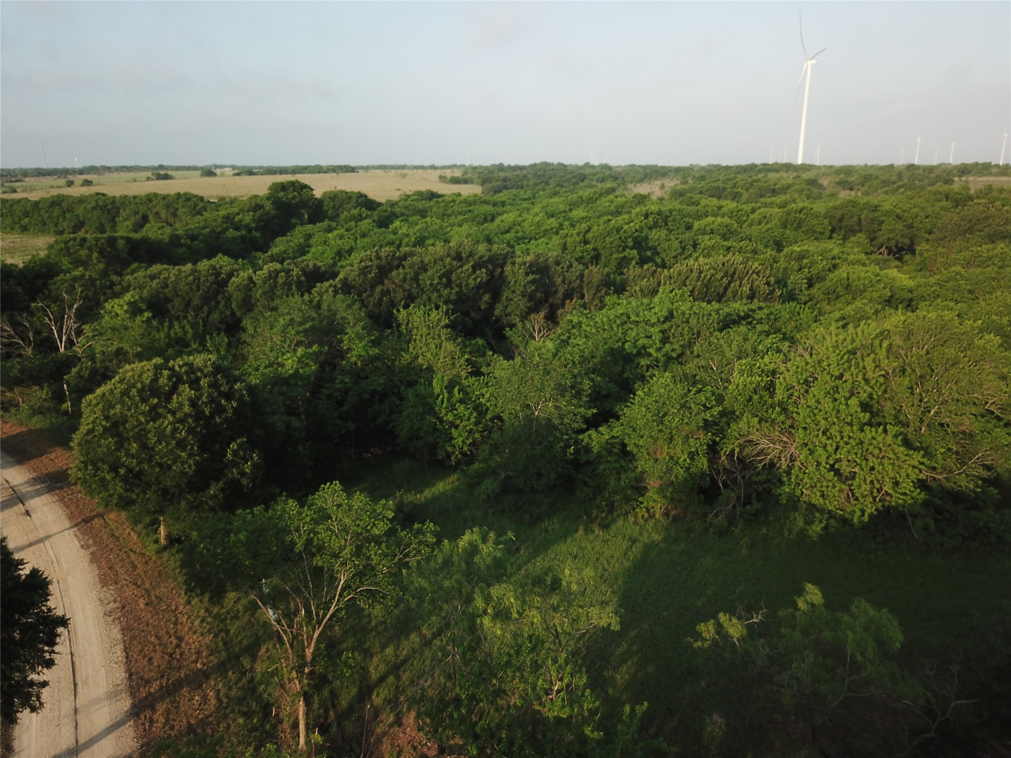 15.35 Acres Lcr 219 Coolidge TX 76635
