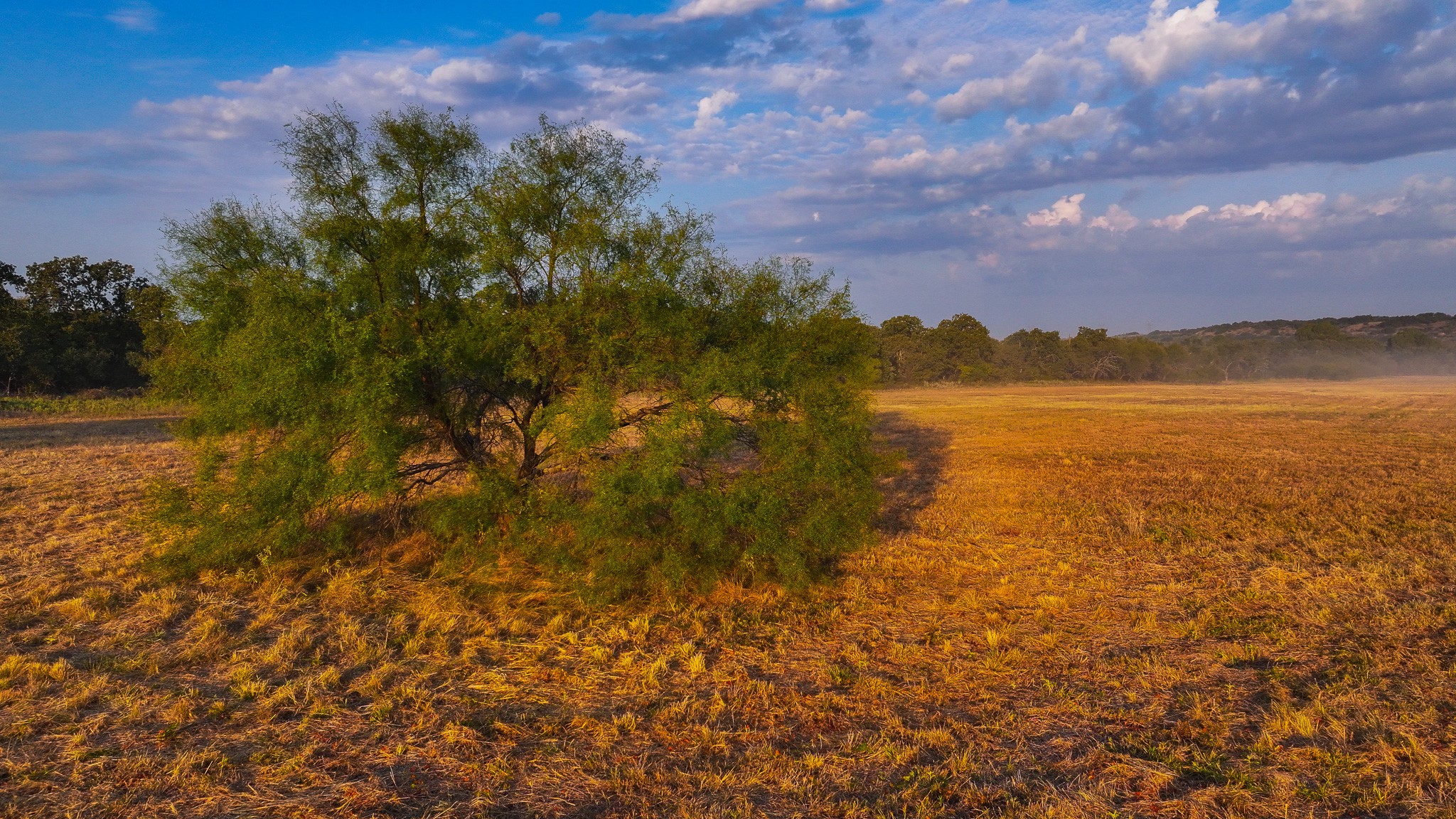 000 Rocky Mound Graham TX 76450