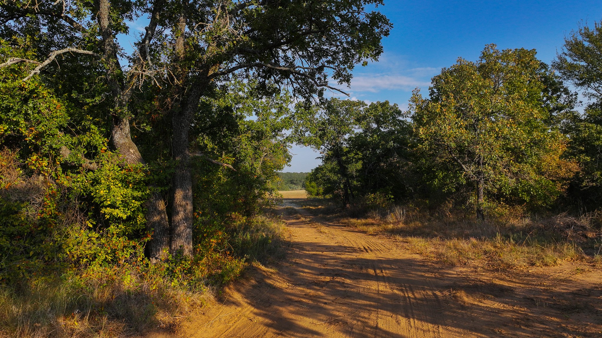 000 Rocky Mound Graham TX 76450