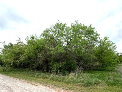 TBD Mcalister Mingus TX 76463