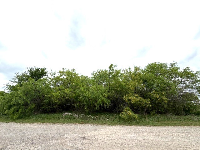 Tbd Mcalister Mingus TX 76463
