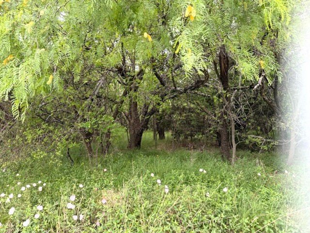 Tbd Mcalister Mingus TX 76463