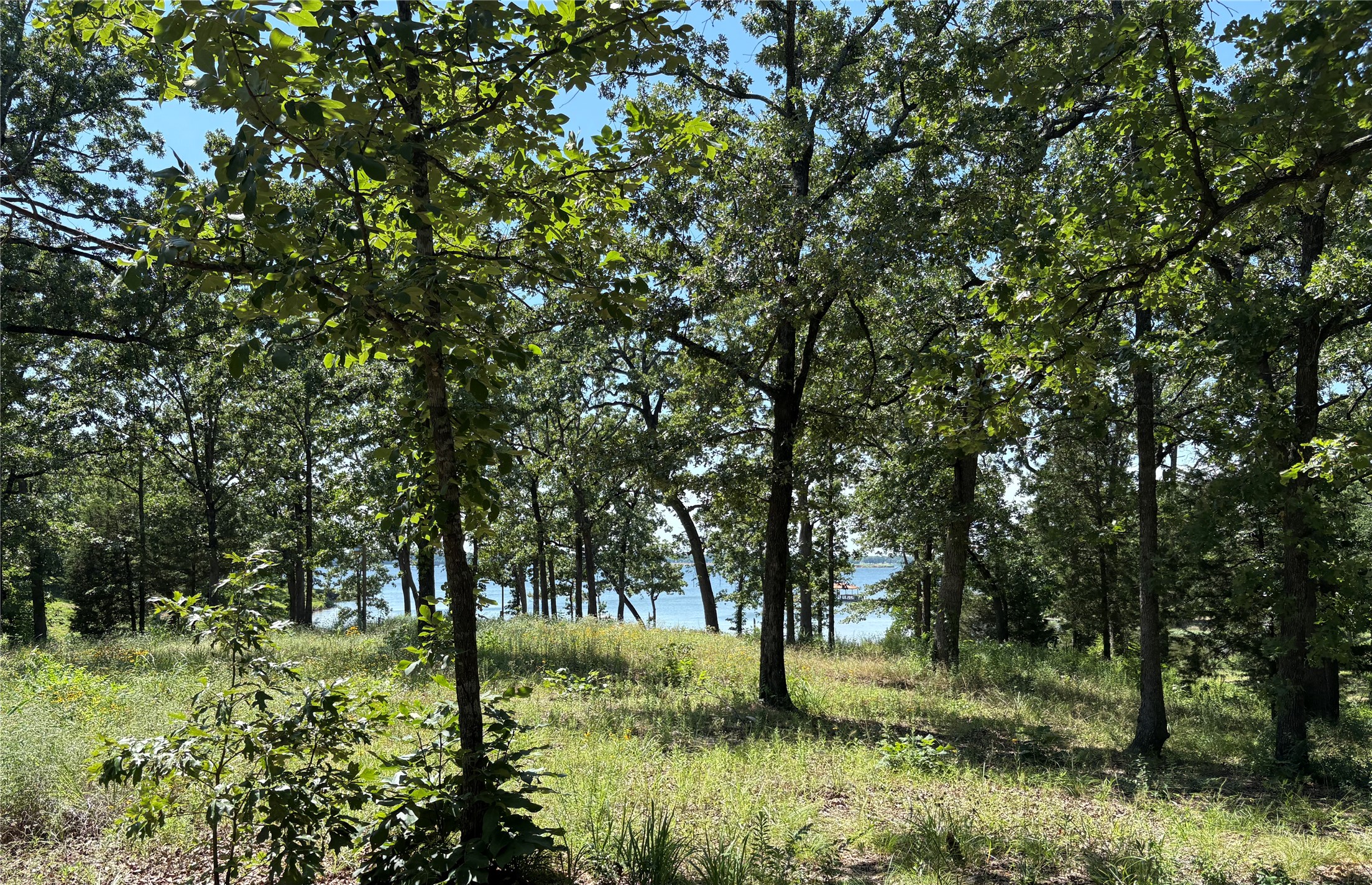 Tbd Indian Gap Road Quitman TX 75783