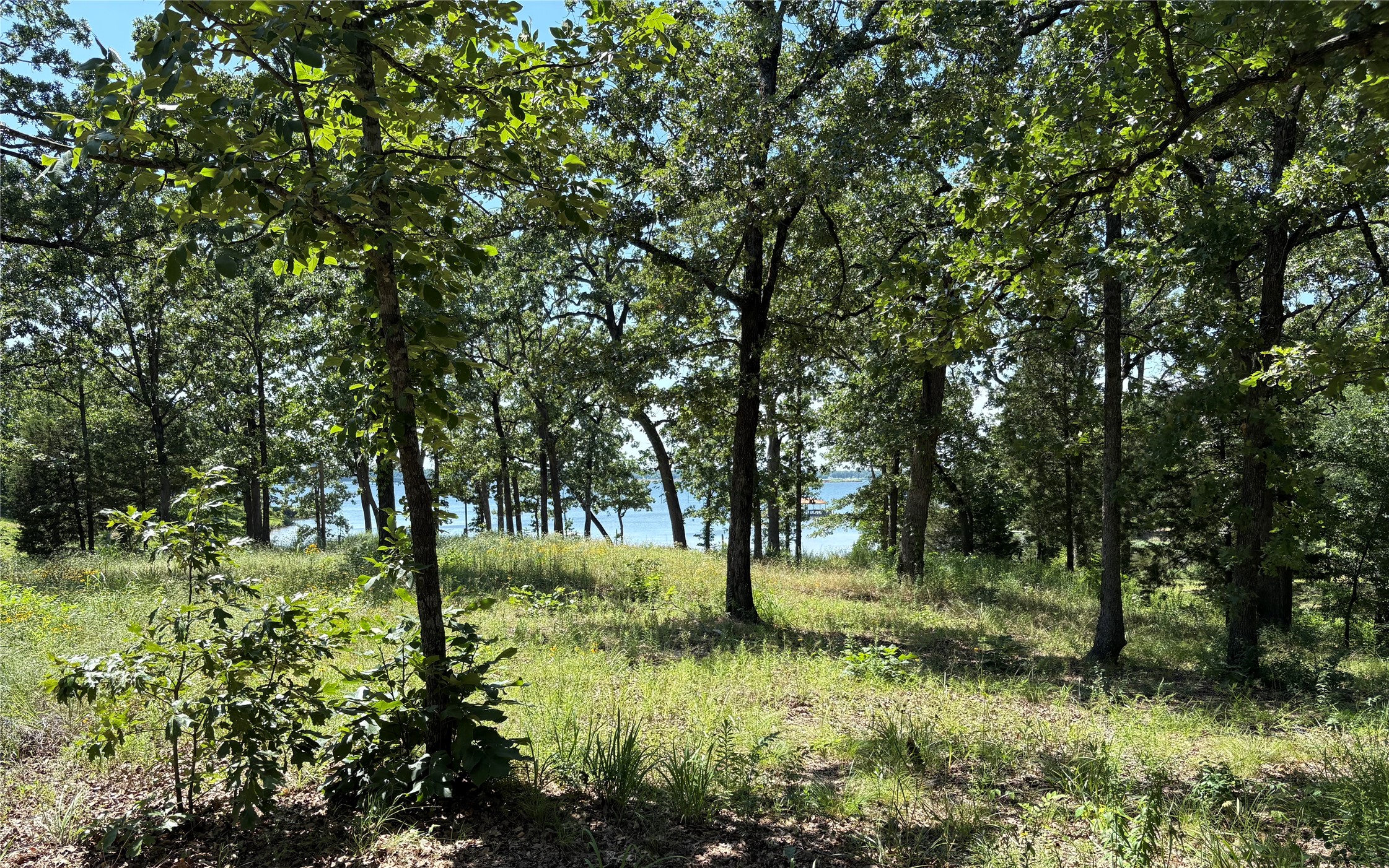 Tbd Indian Gap Road Quitman TX 75783