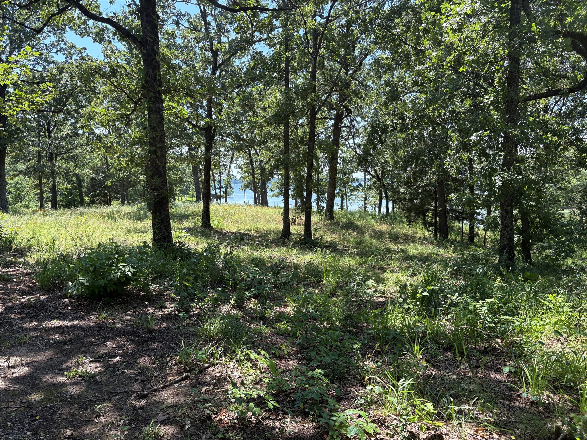 Tbd Indian Gap Road Quitman TX 75783
