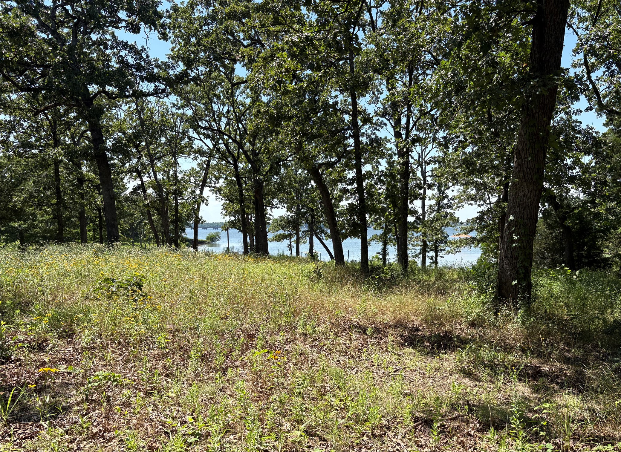 Tbd Indian Gap Road Quitman TX 75783