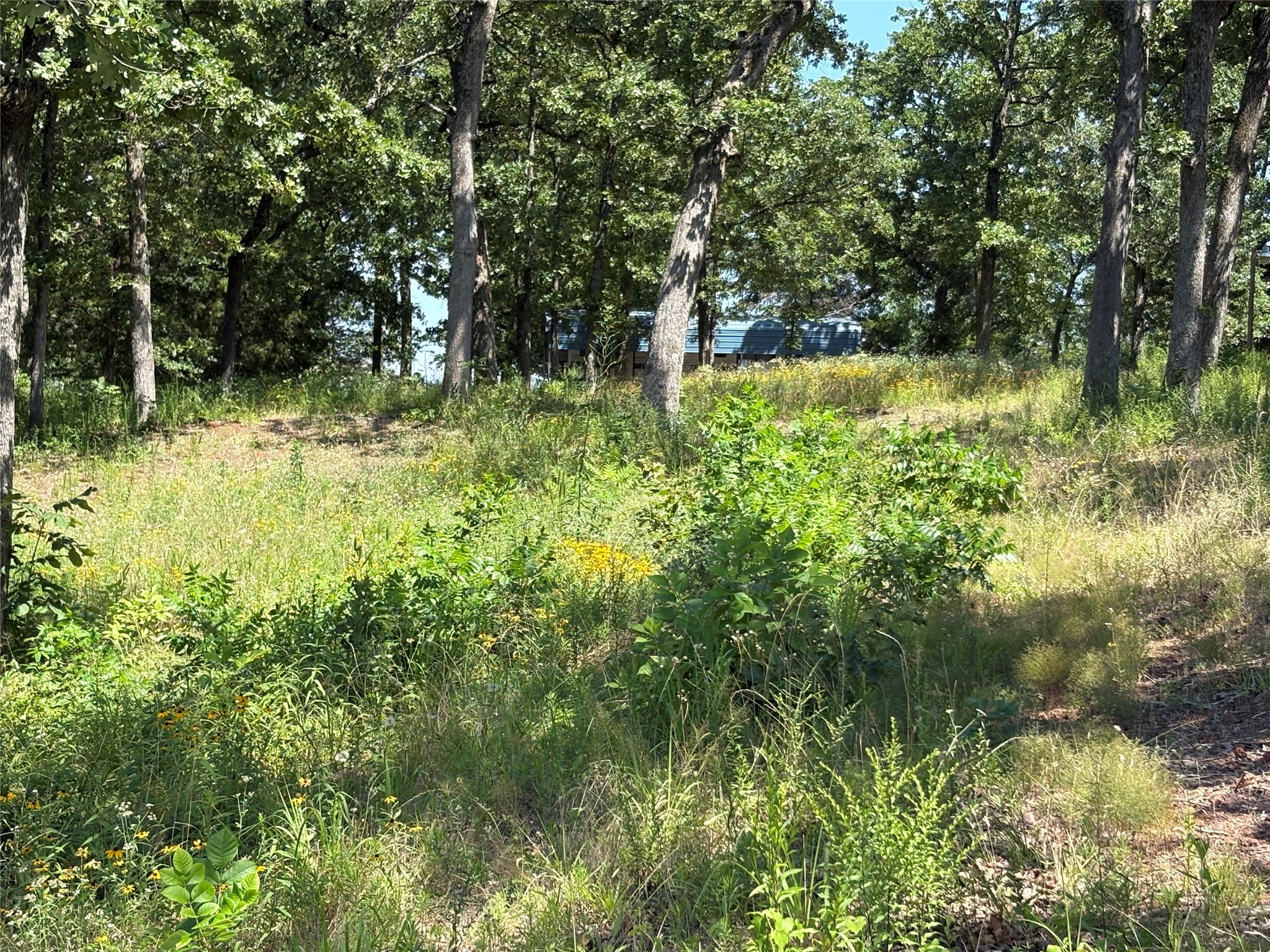 Tbd Indian Gap Road Quitman TX 75783