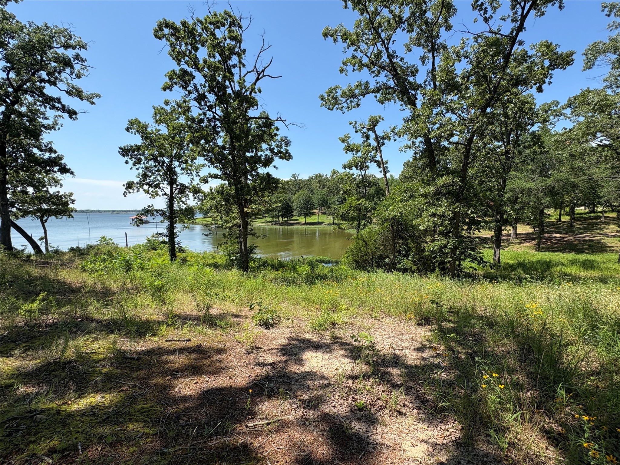 Tbd Indian Gap Road Quitman TX 75783