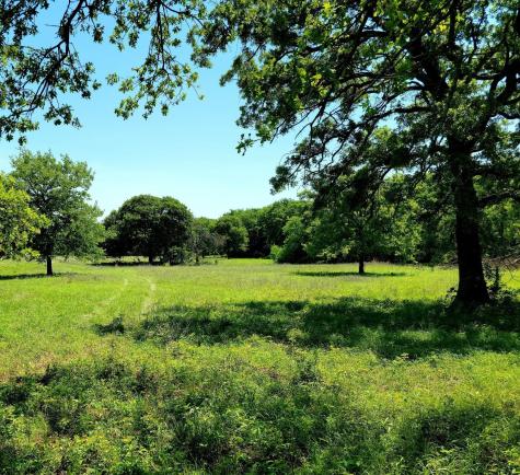 465 Hcr 1450 N Covington TX 76636
