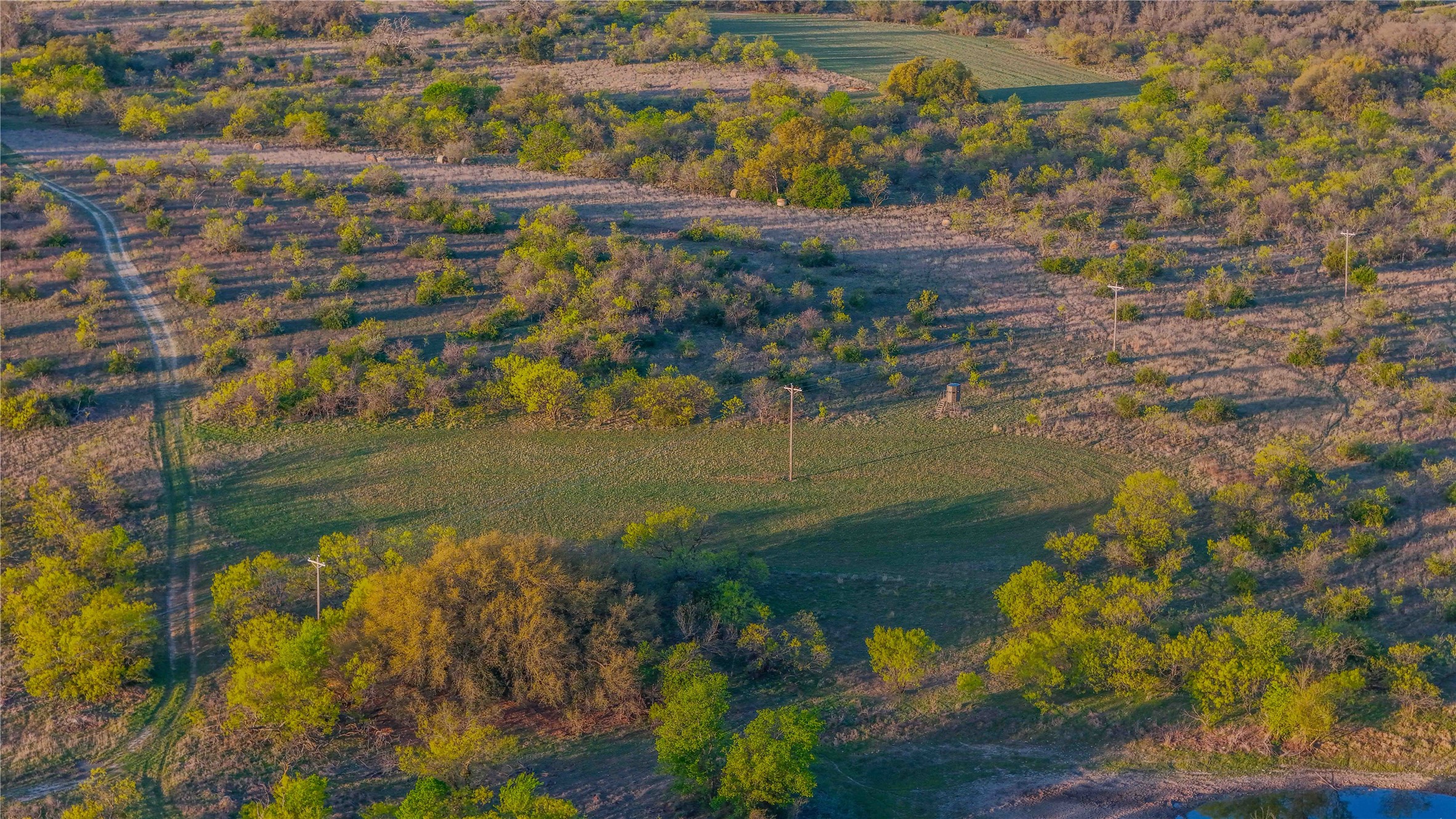 1952 Fm 1689 Comanche TX 76442
