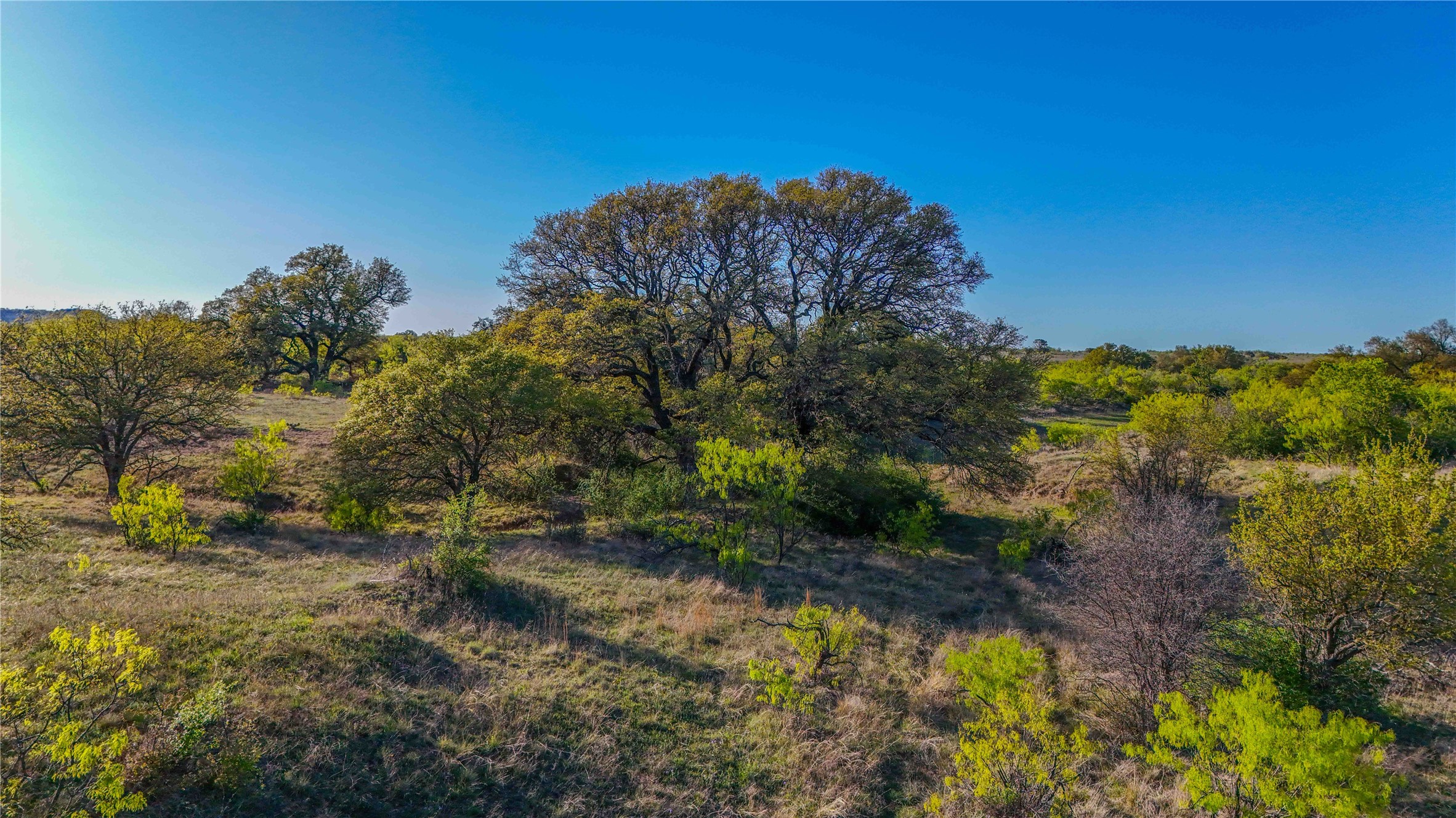 1952 Fm 1689 Comanche TX 76442