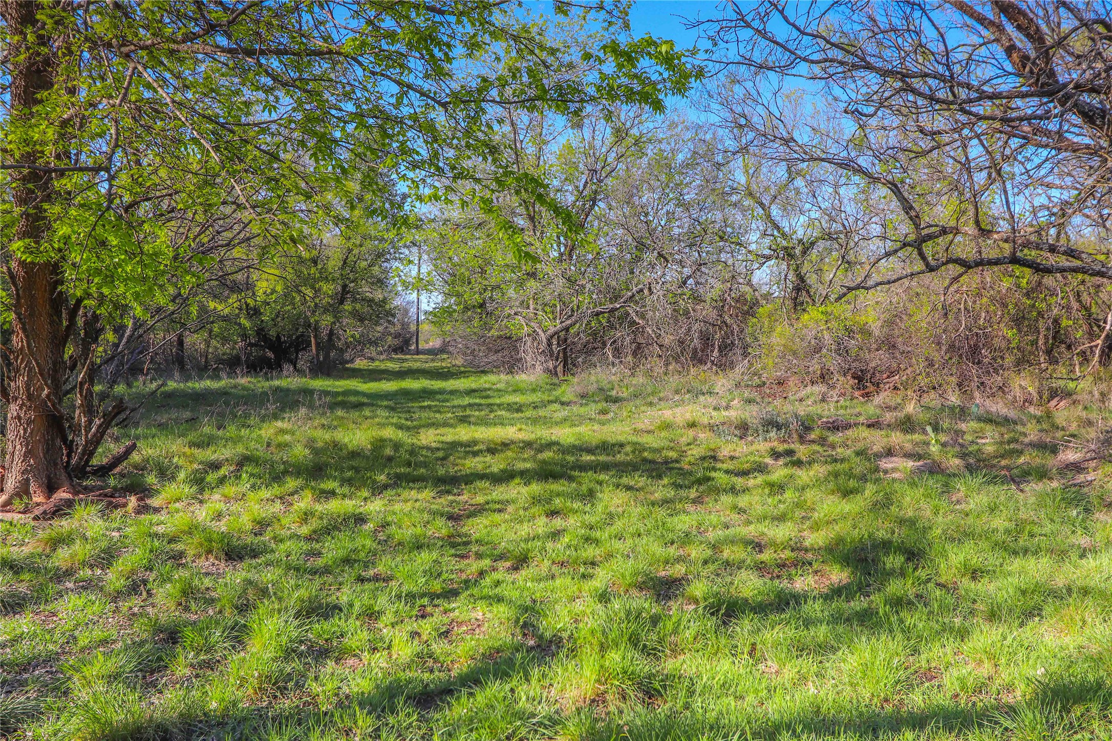 1952 Fm 1689 Comanche TX 76442