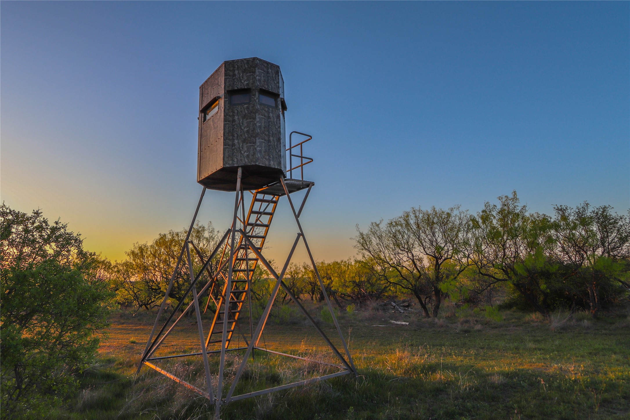 1952 Fm 1689 Comanche TX 76442