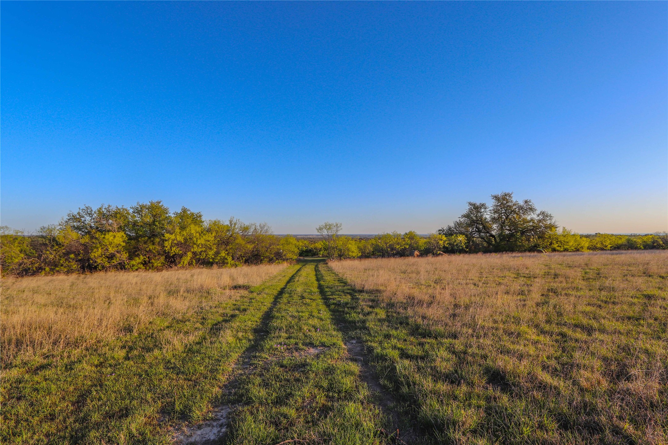 1952 Fm 1689 Comanche TX 76442