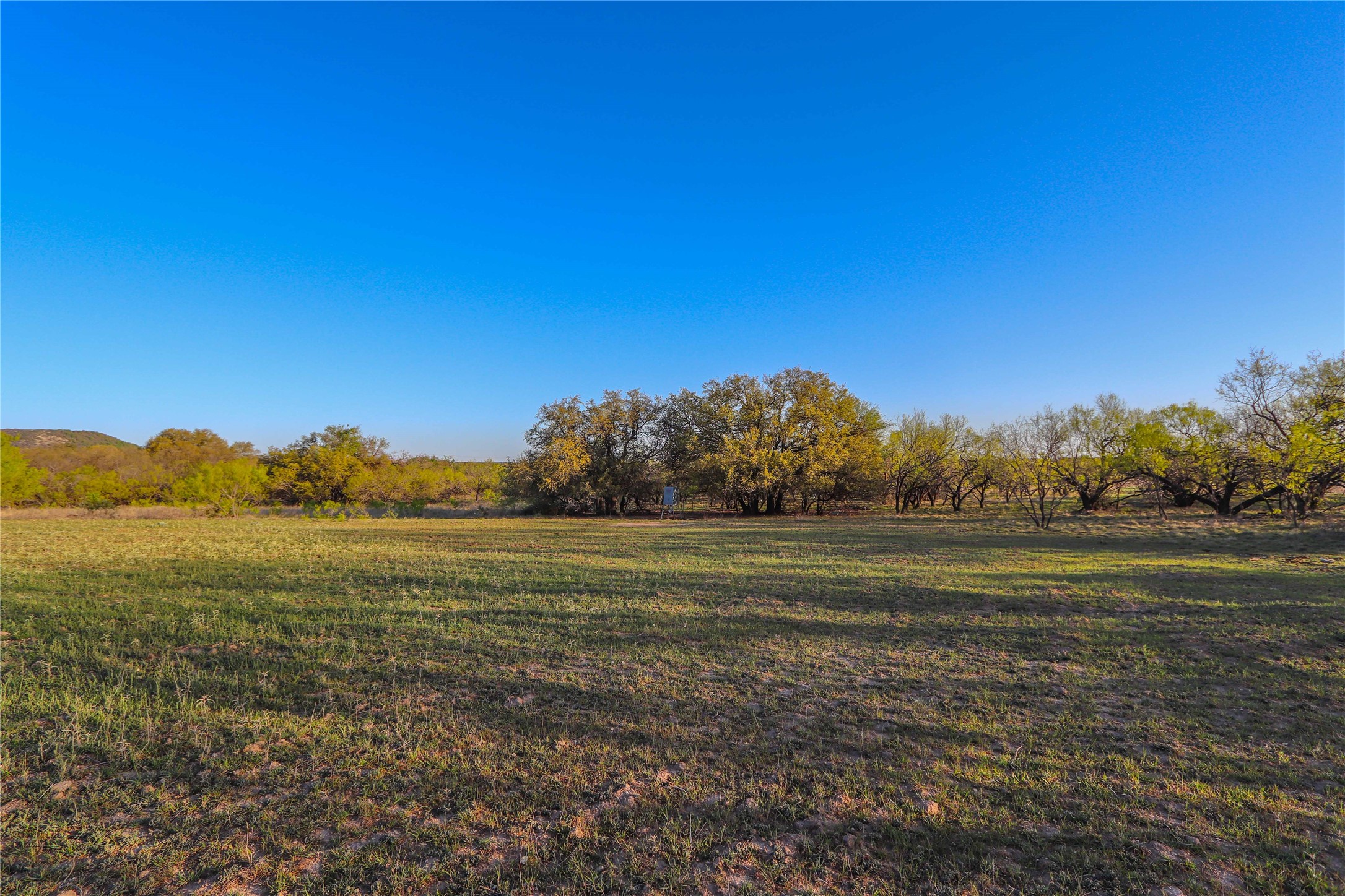 1952 Fm 1689 Comanche TX 76442