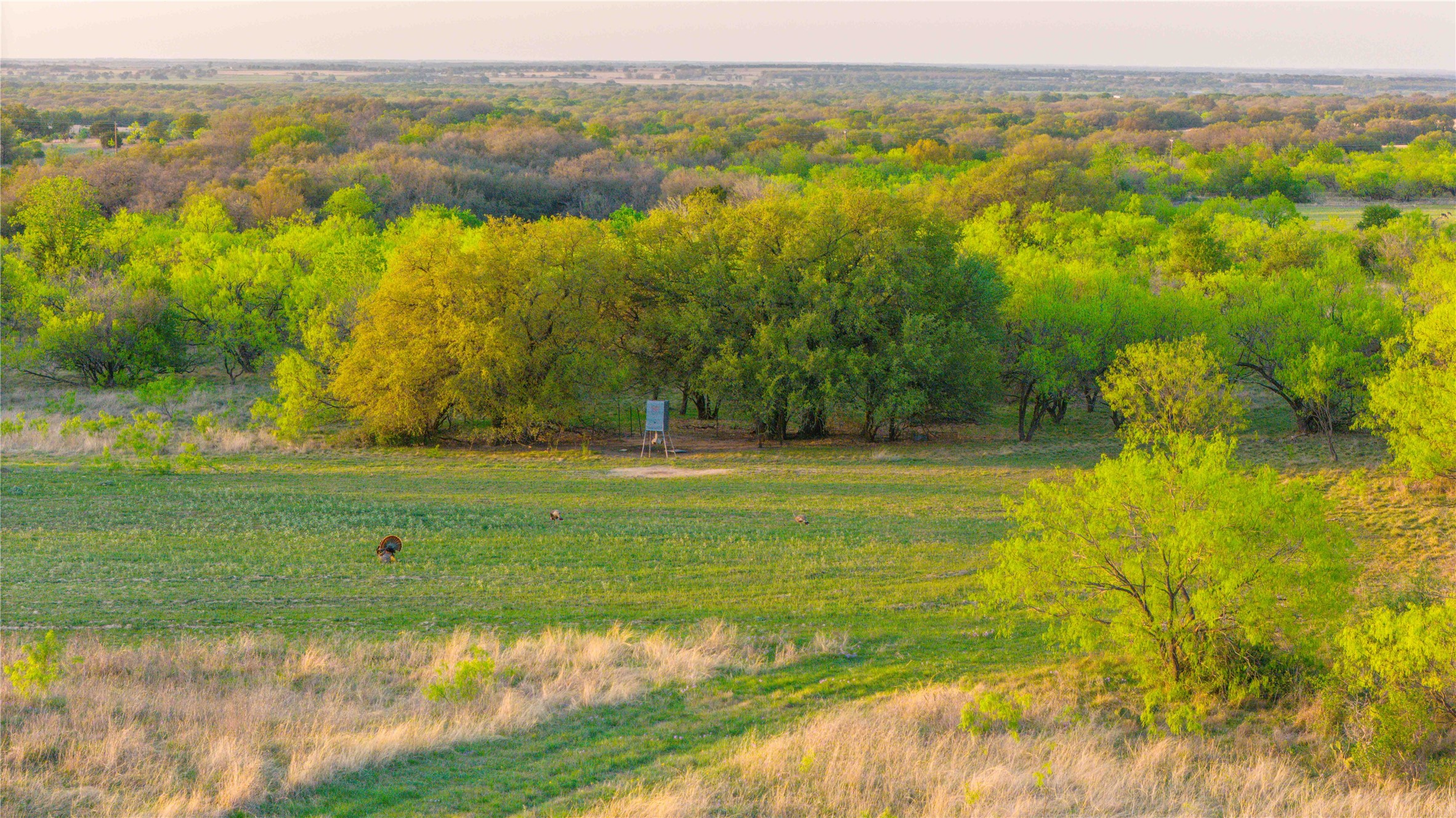 1952 Fm 1689 Comanche TX 76442