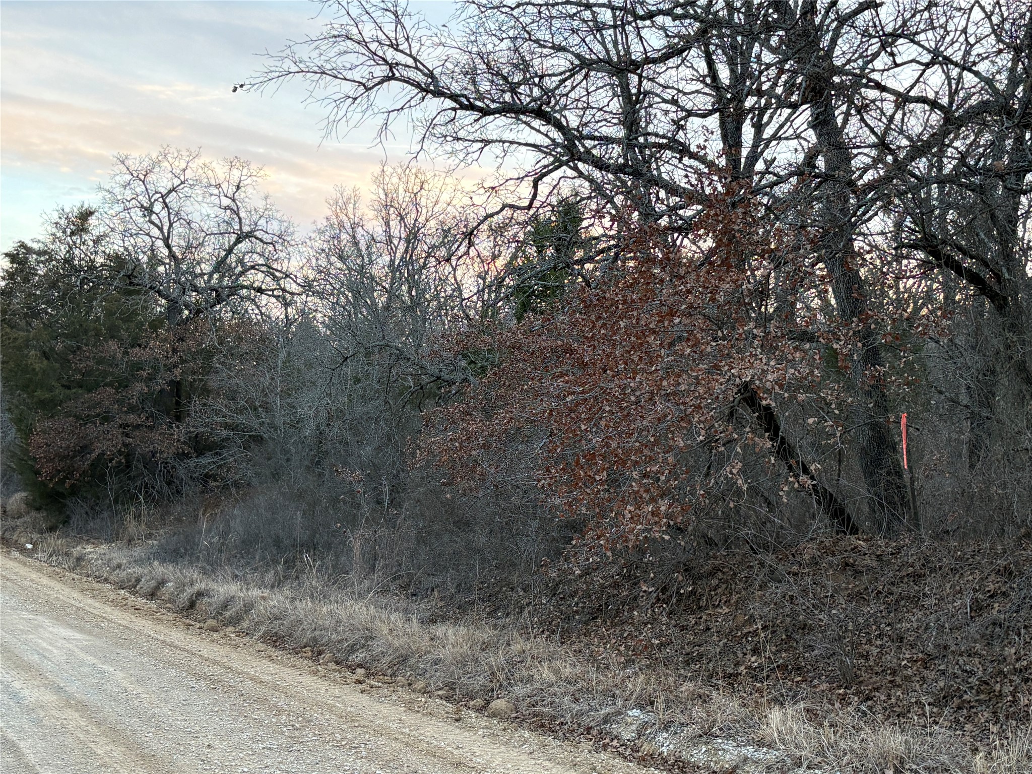 000 Briarwood Bowie TX 76230