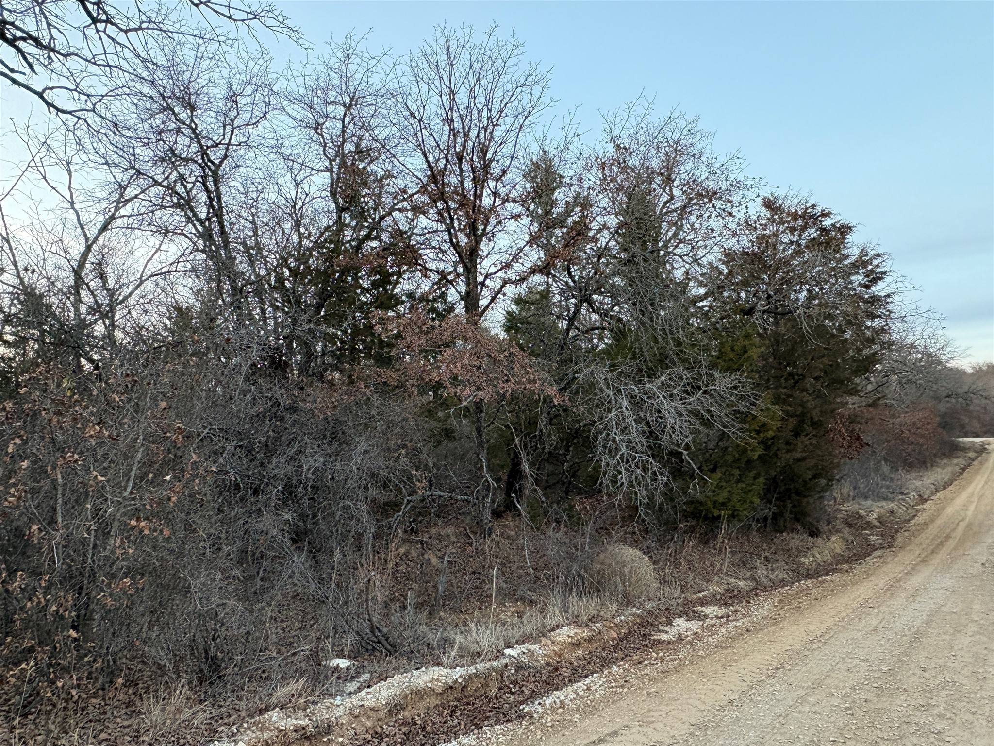 000 Briarwood Bowie TX 76230