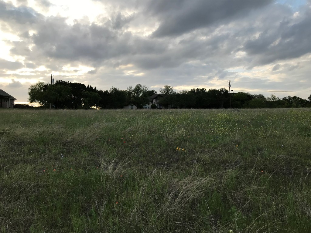 19093 White Bluff Drive Whitney TX 76692
