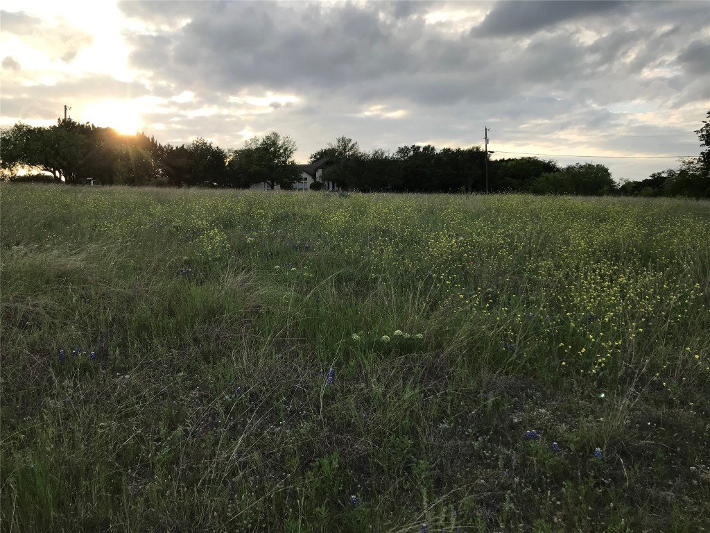 19093 White Bluff Drive Whitney TX 76692