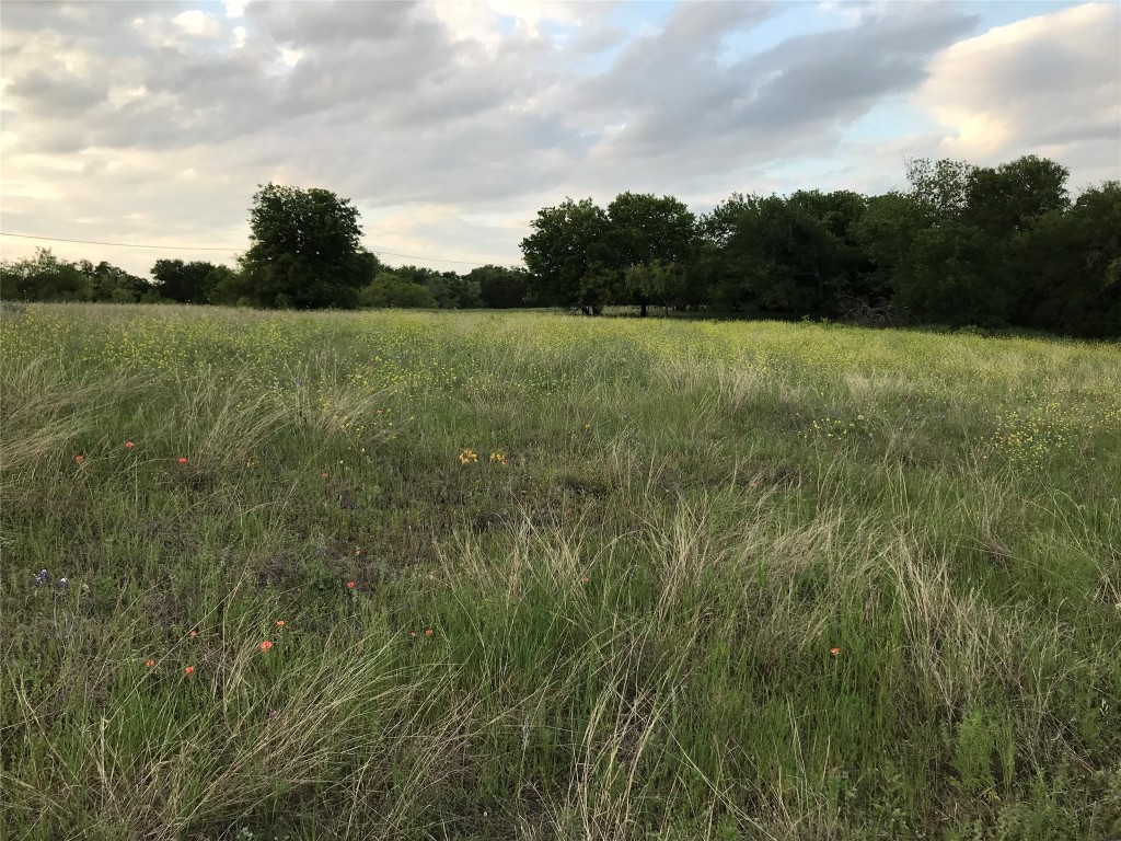 19093 White Bluff Drive Whitney TX 76692