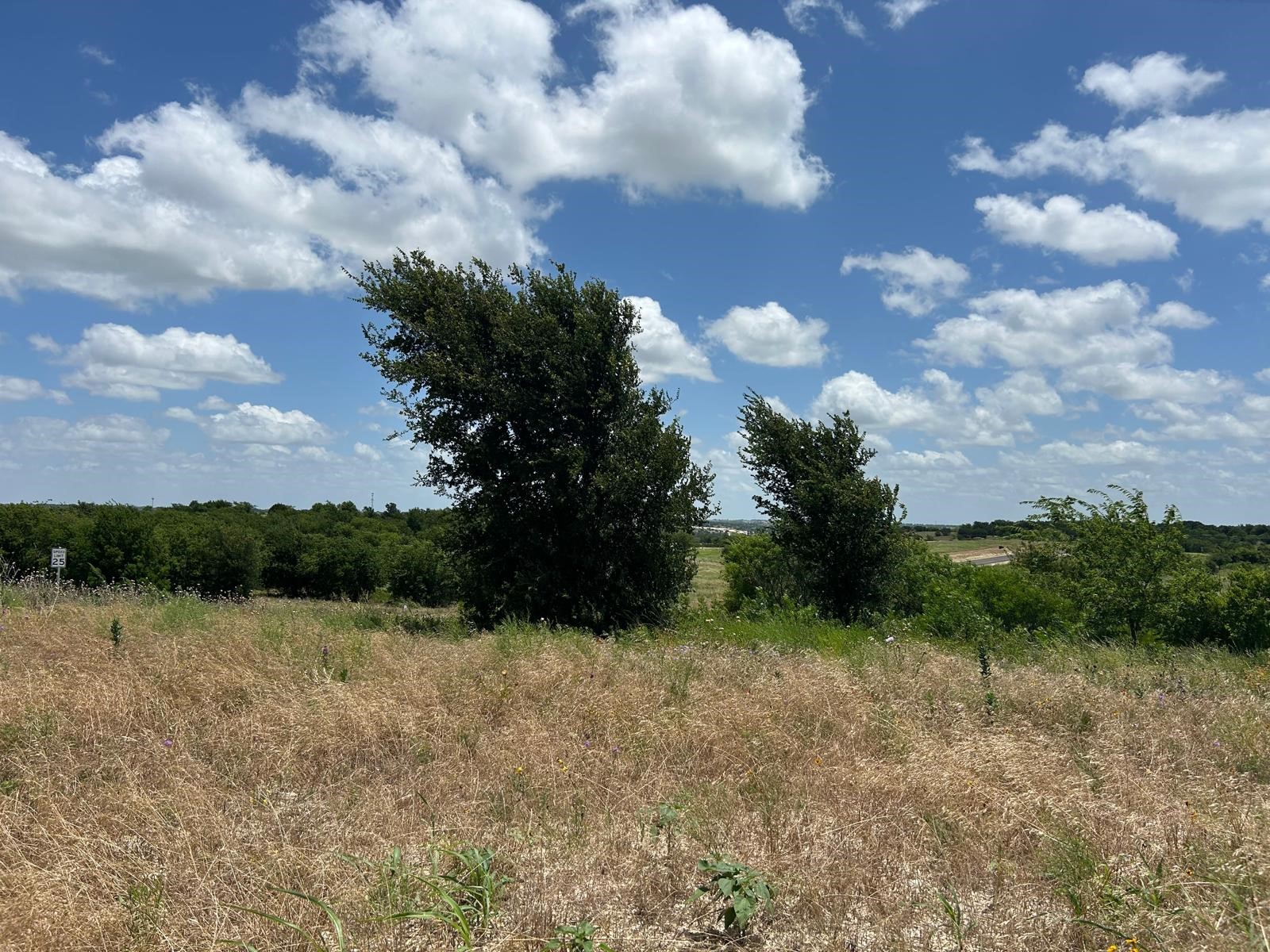 2517 Tom Chaney Drive Cresson TX 76035