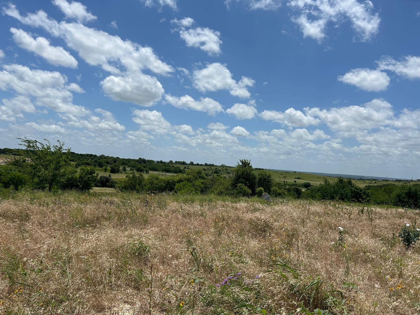 2517 Tom Chaney Drive Cresson TX 76035