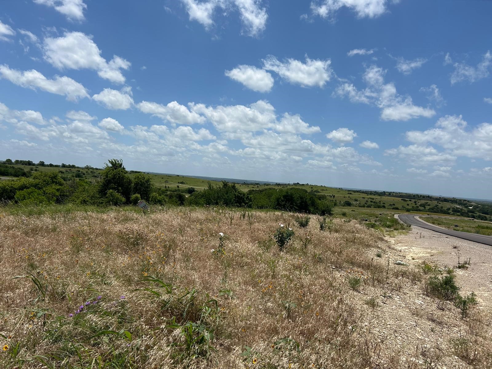 2517 Tom Chaney Drive Cresson TX 76035