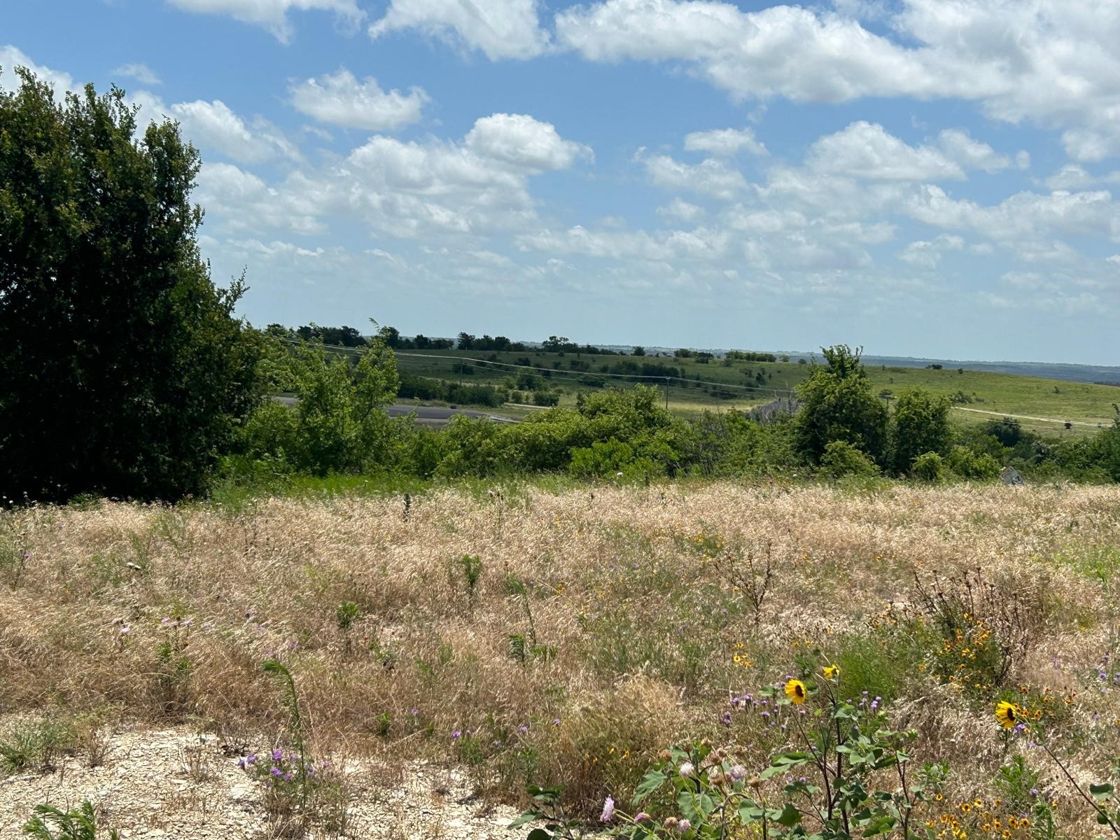 2517 Tom Chaney Drive Cresson TX 76035