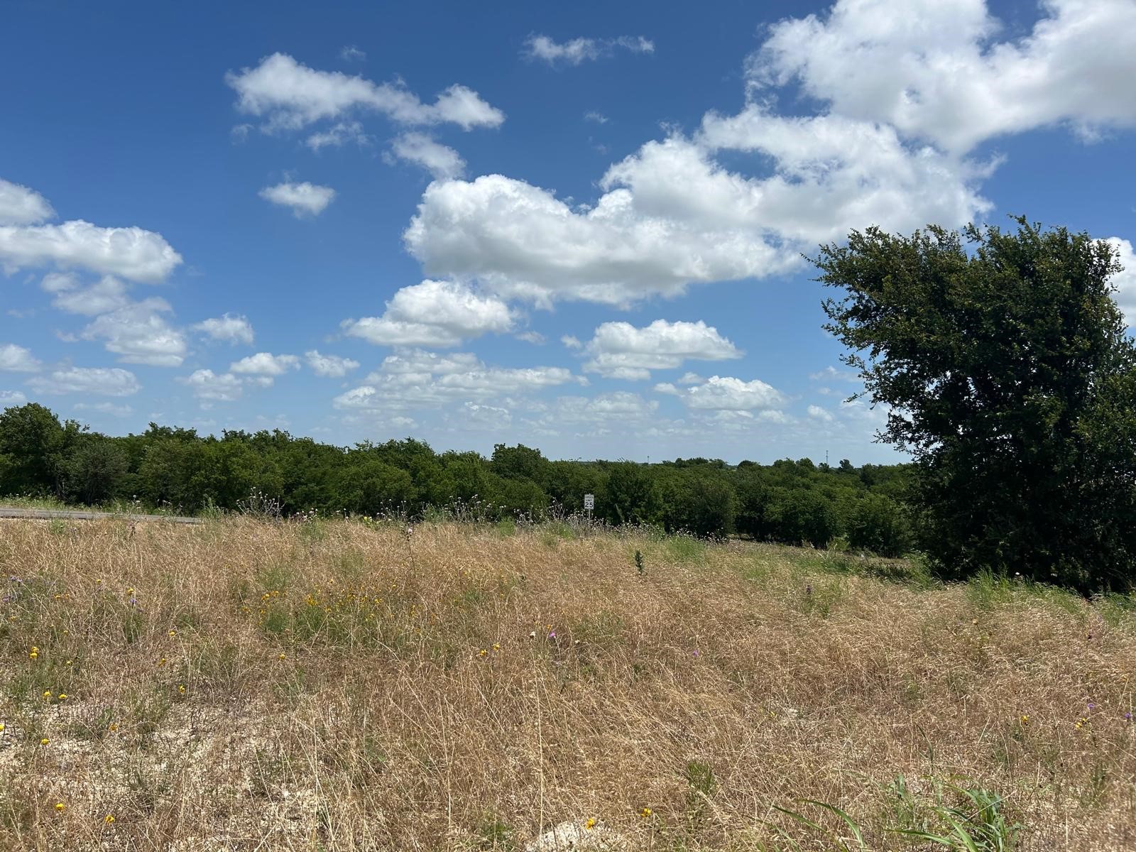 2517 Tom Chaney Drive Cresson TX 76035