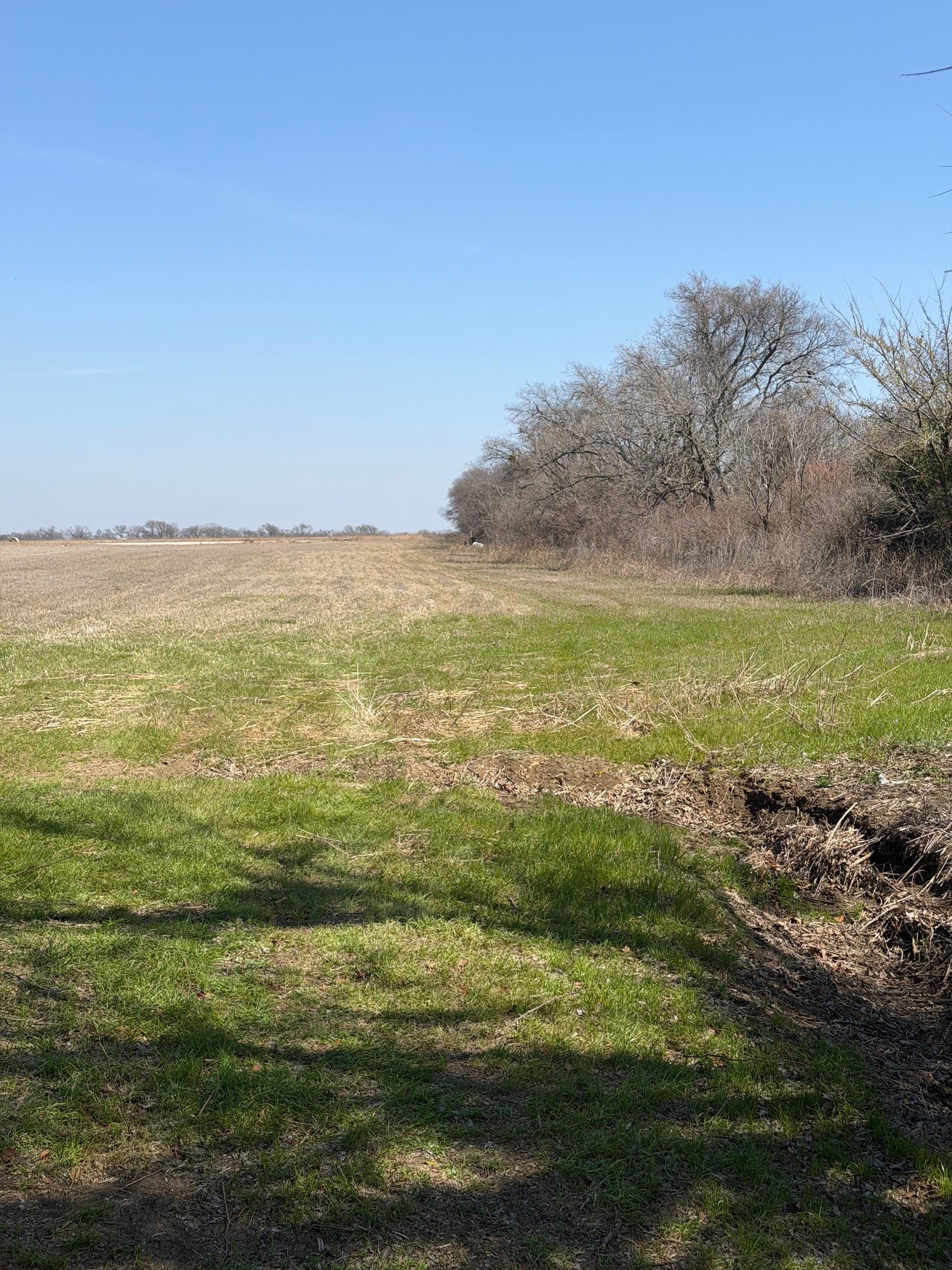 5697 County Road 410 Alvarado TX 76009